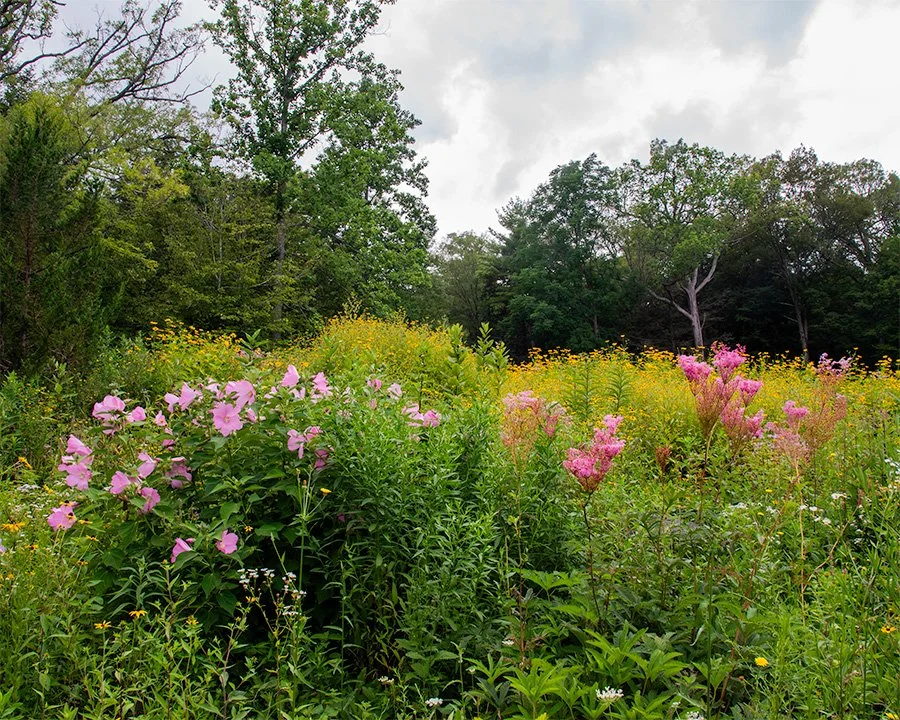 Taughannock Falls30July2021002.jpg