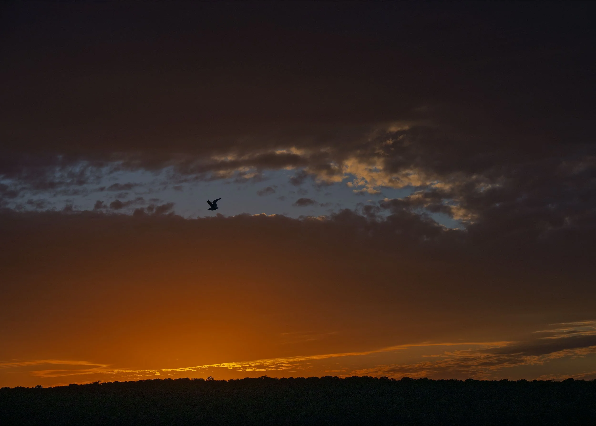 Pictured-Rocks 10022024_01.jpg