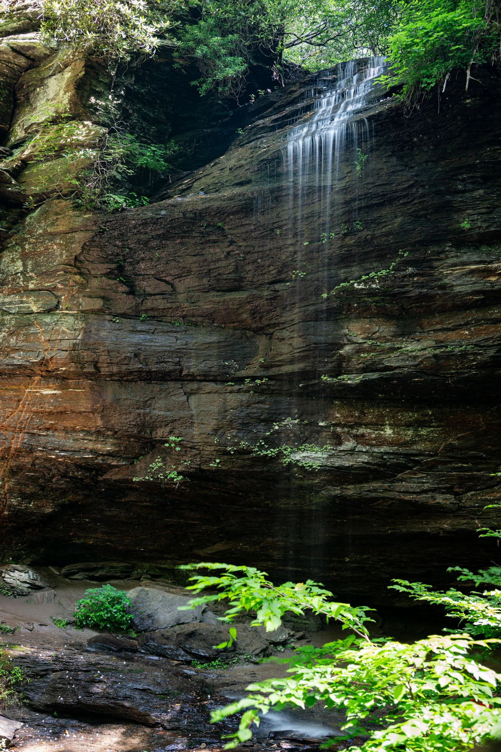 brevard-nc06292026-01.jpg