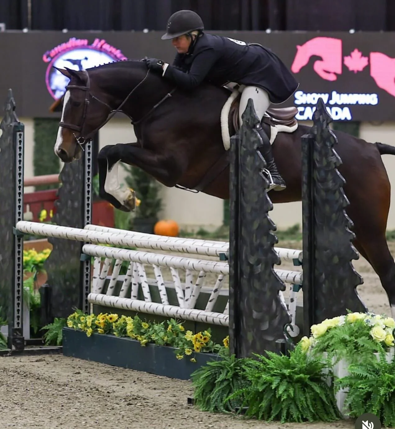 When they jump like this 😍 @countrylaneshowstables