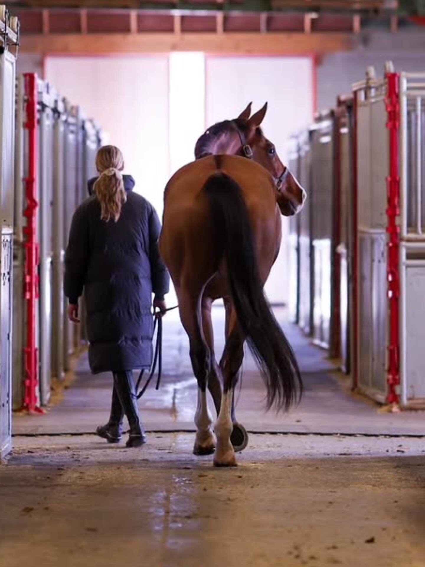 As we close the door on 2025, I have so much appreciation and gratitude in my heart ❤️ so many dreams realized, so much fun had and memories made. Thank you to everyone who made it so special!!! It was an epic year,  but ready for the year of the hor