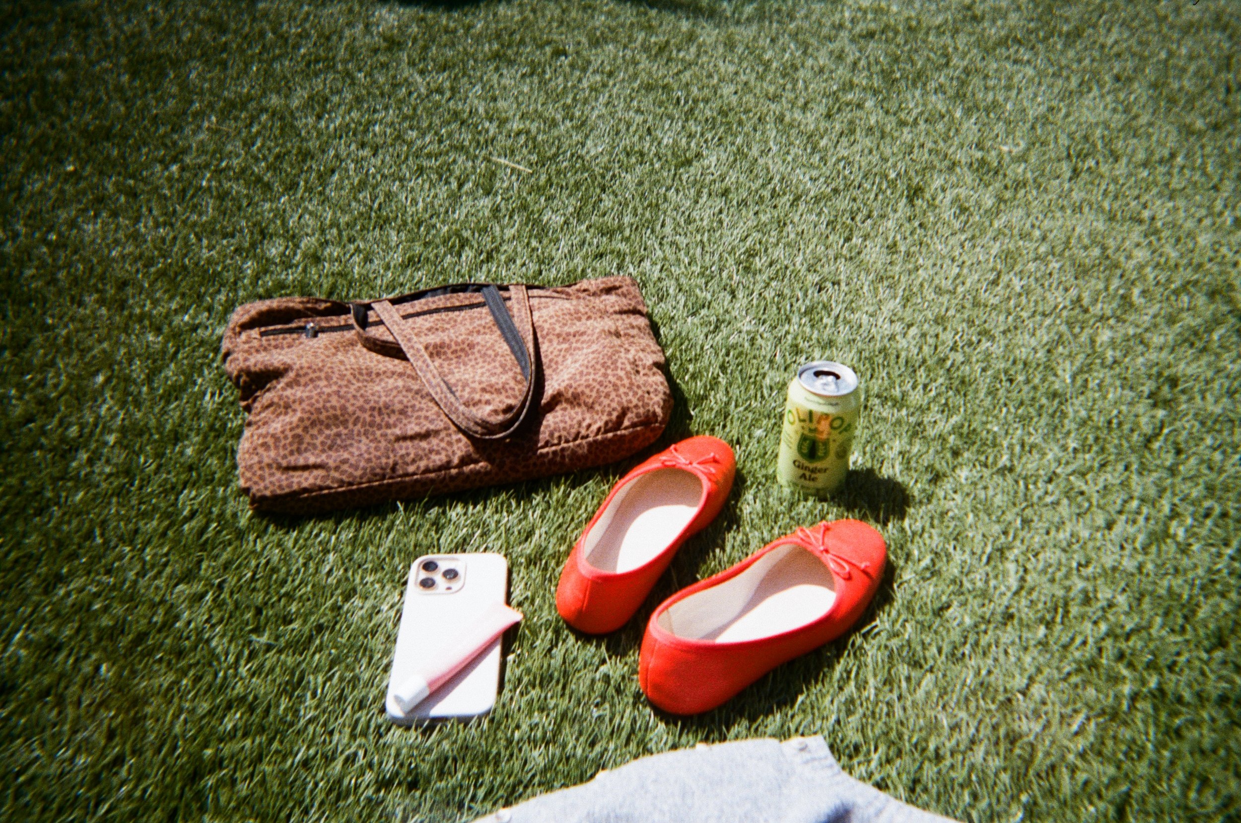 A brown leopard print bag, a pair of red ballet flats, an iPhone with a pink pop socket, and a can of ginger ale are on green grass.