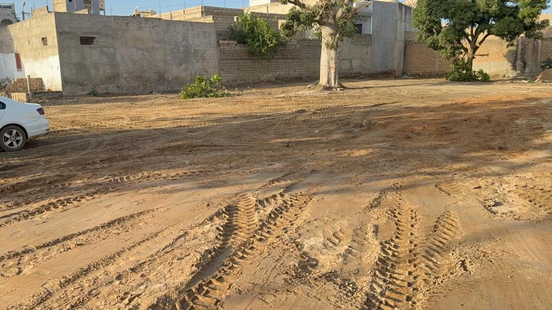 Un terrain de terre avec des traces de pneus de voiture, un arbre et quelques bâtiments en arrière-plan.