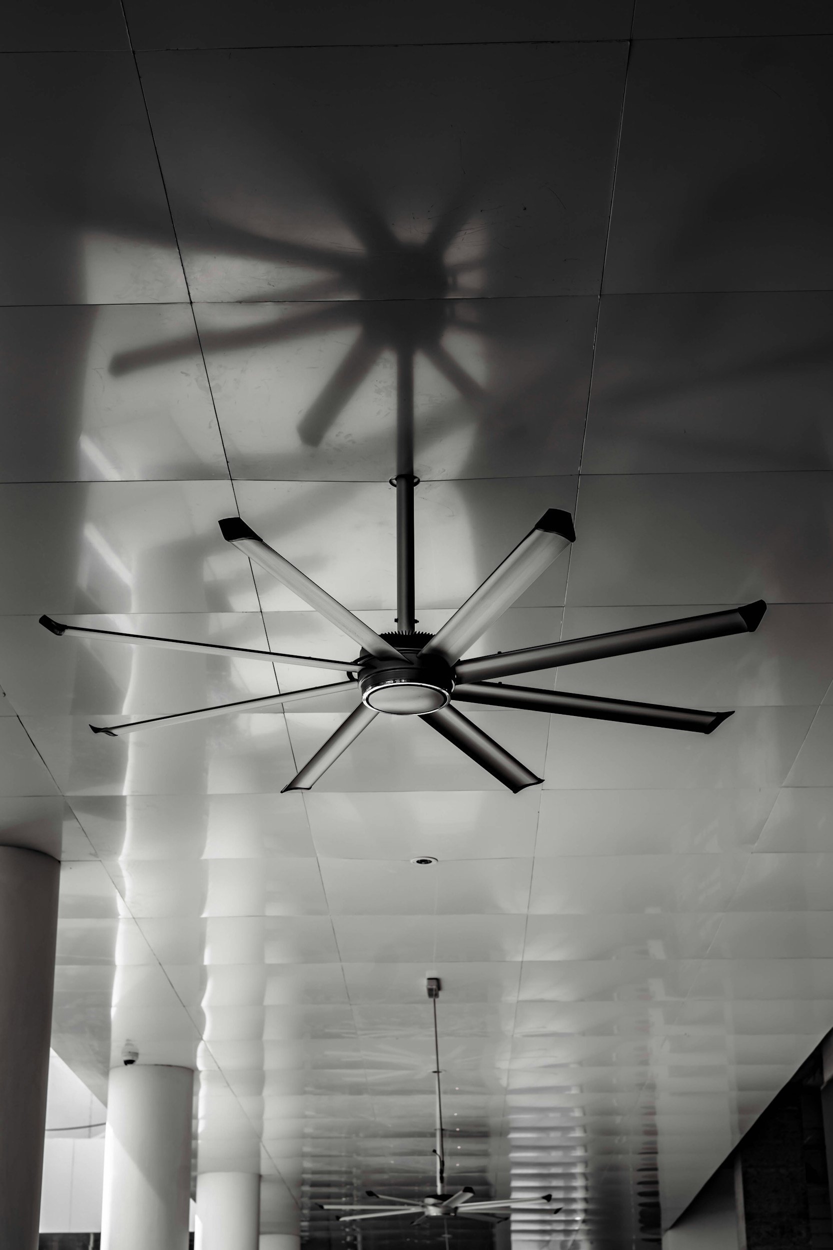 Modern ceiling fan with multiple blades and a central light, casting a shadow on the ceiling.