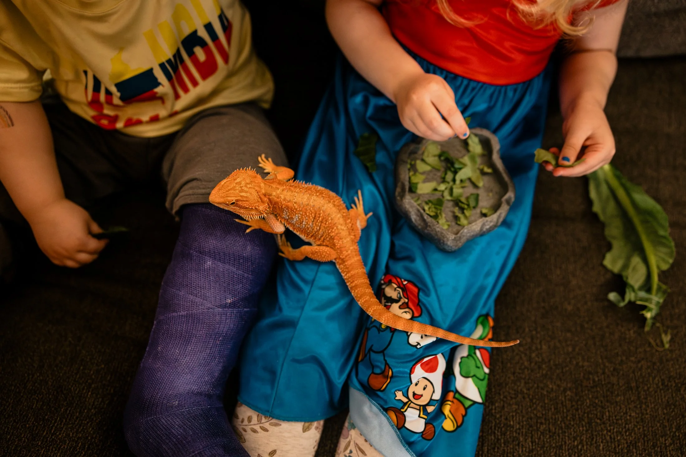 Child's lap with an orange bearded dragon sitting on their leg, which is wrapped in a purple compression sleeve, while another child holds green leaves and uses a stone dish with more green leaves.