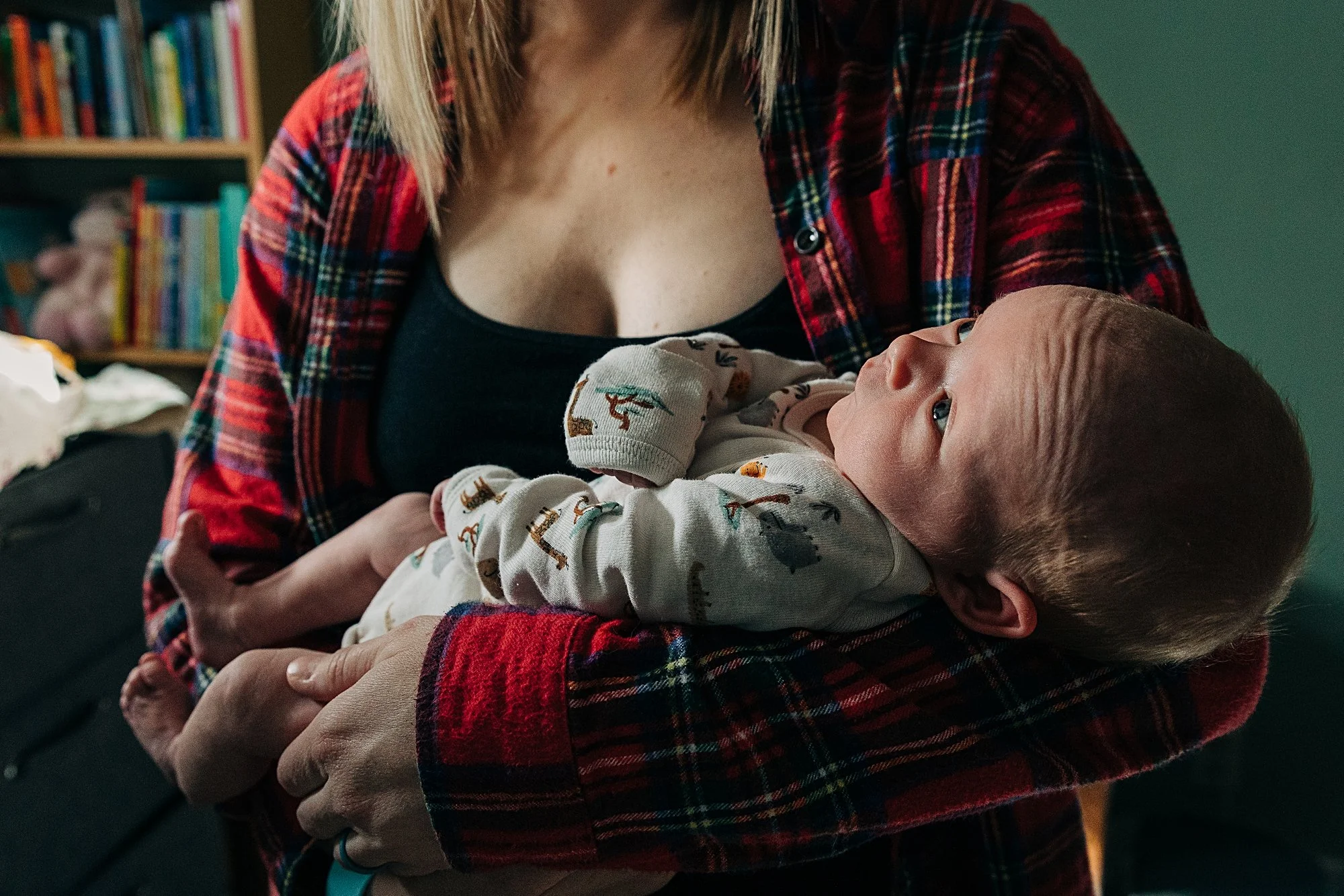 Winter Newborn