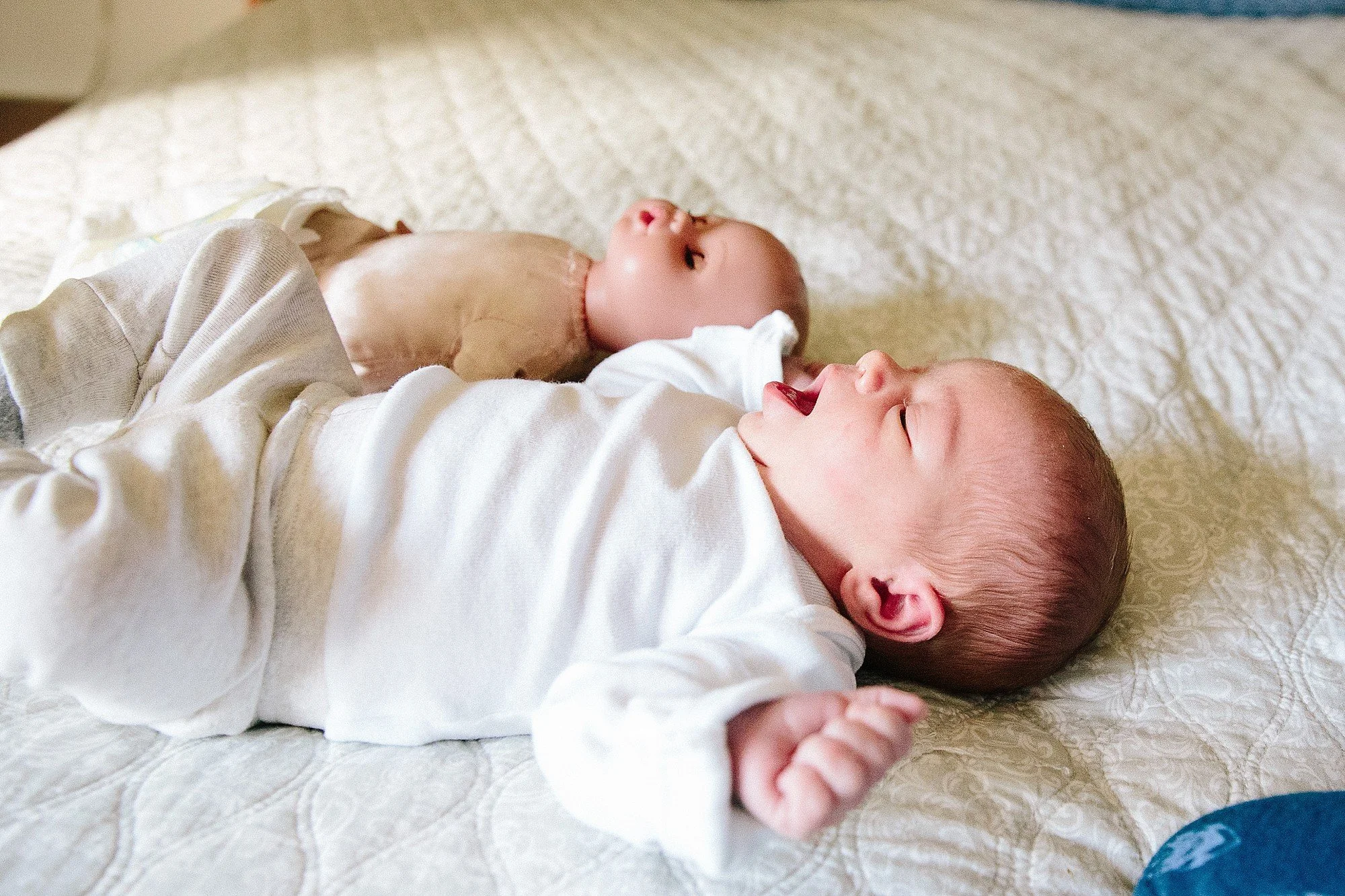 Madison Newborn Photographer | Four