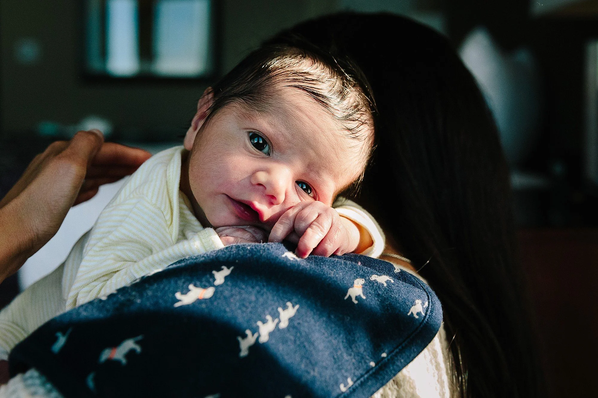 Madison Newborn Photographer | The Long Wait