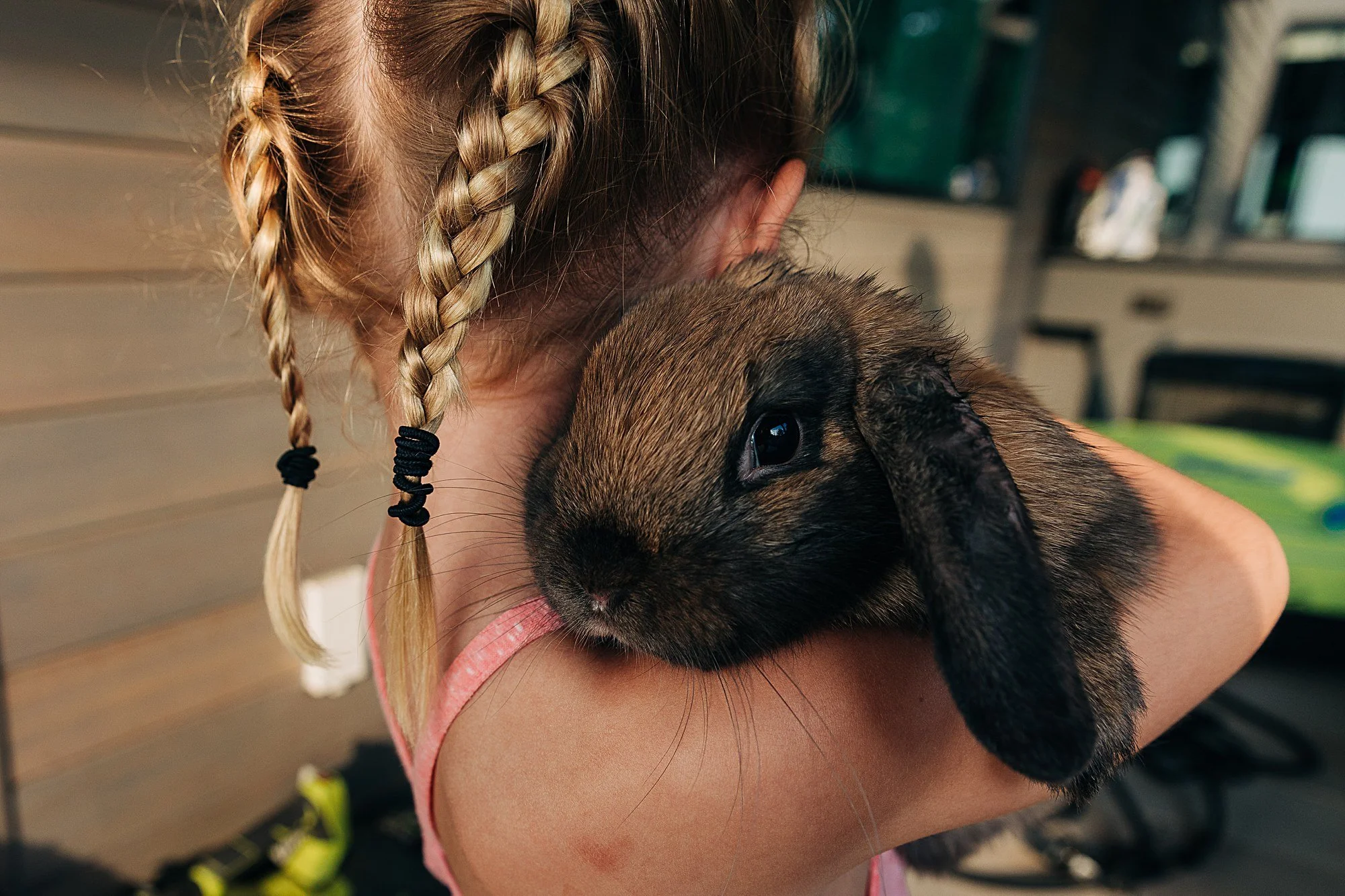 the back of a girl in pigtail braids holding a lop eared bunny over her shoulder