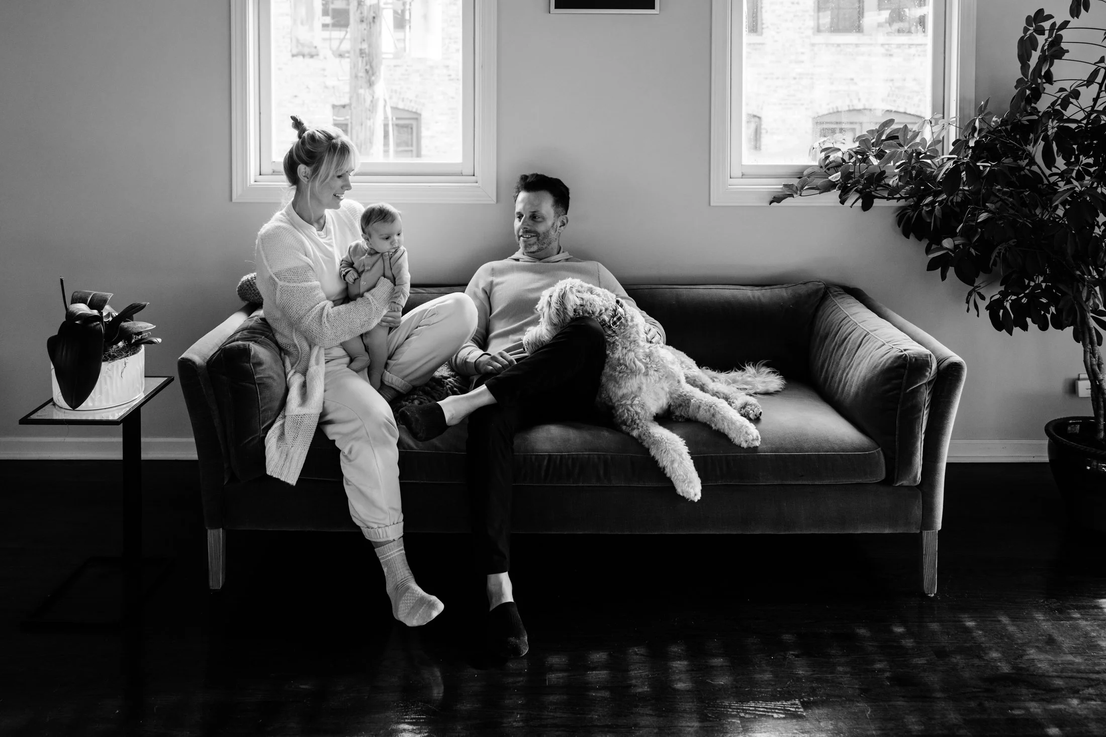 Family sitting on a sofa, with a woman holding a baby, a man with a dog laying across his lap, in a living room with windows and a potted plant.