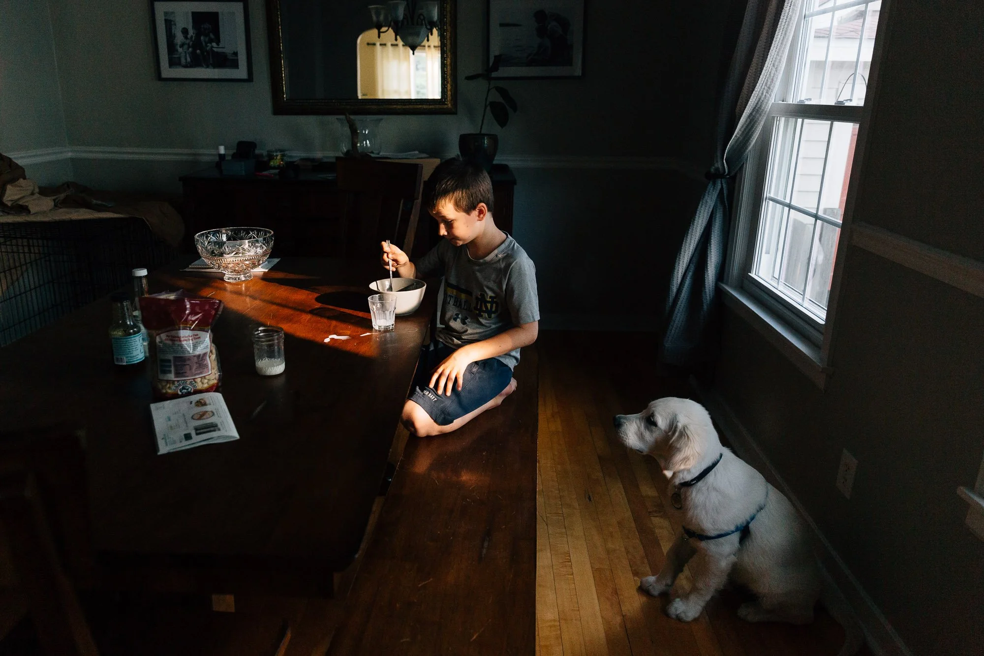 A boy sitting at a dining table drinking from a bowl, with a Golden puppy sitting nearby looking out the window.