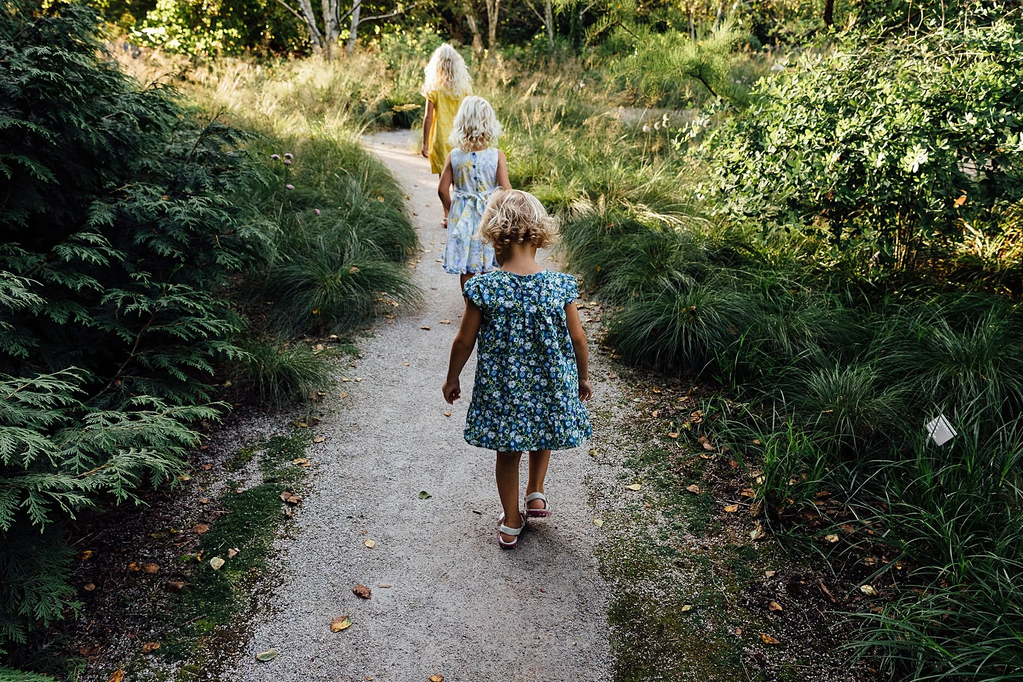 Four young girls with blond hair walking along a dirt path through lush green foliage.
