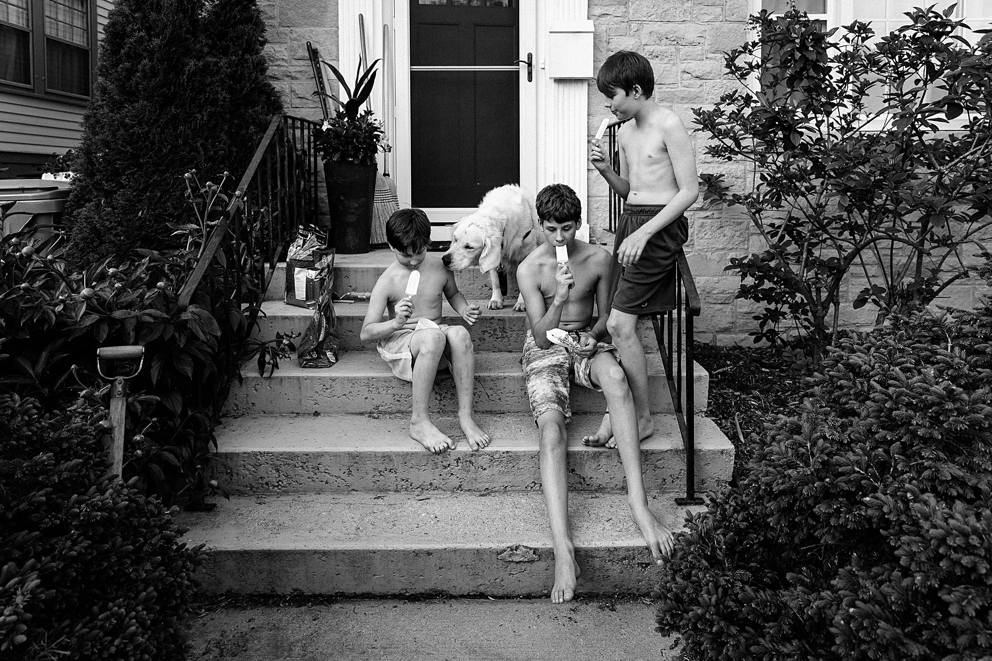 Four children and a dog on the front steps of a house, with the children eating popsicles. The children are in swimwear, and the dog is sniffing around.