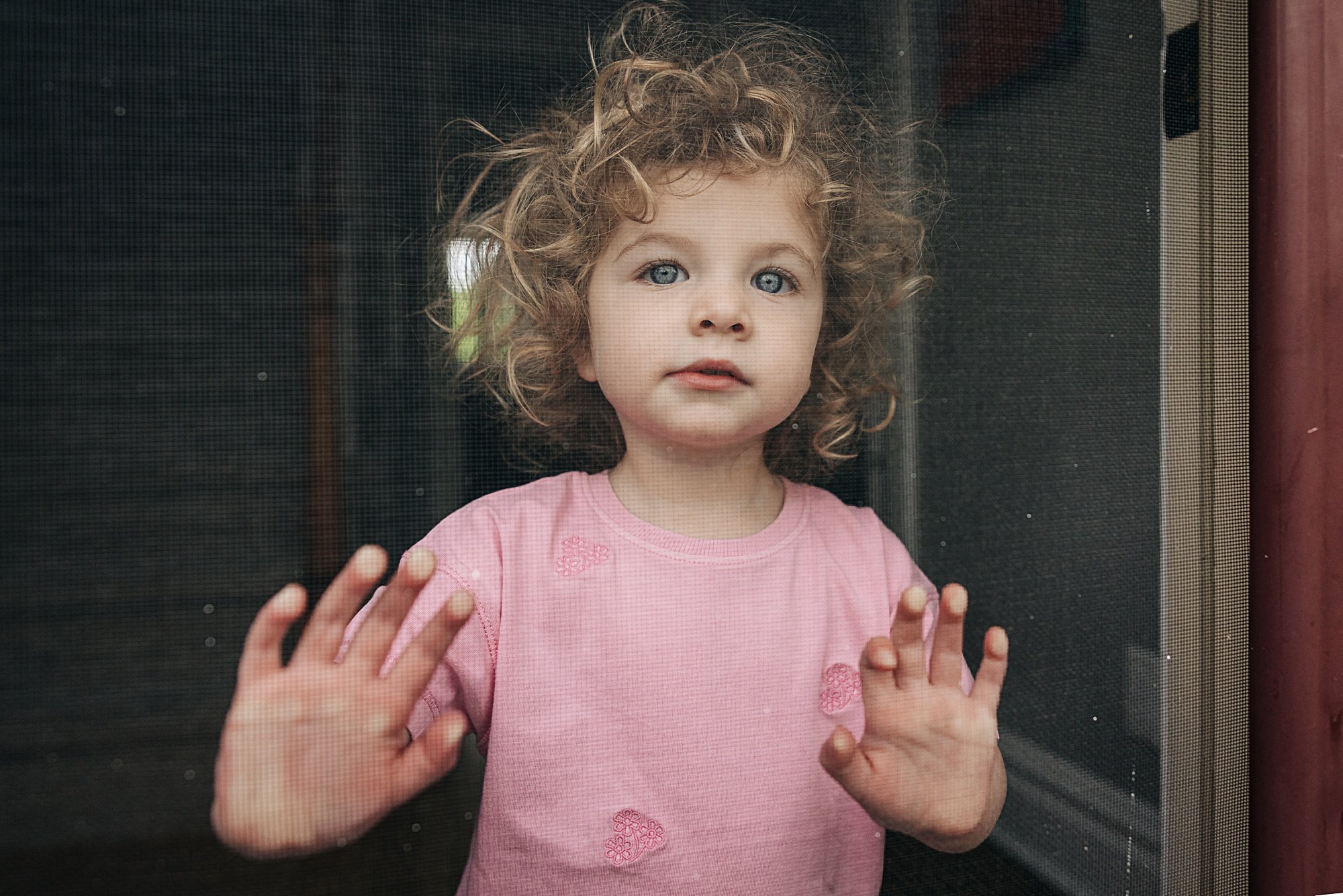 A young girl with curly blonde hair and blue eyes, wearing a pink shirt, looks out through a window screen with her hands pressed against the glass.