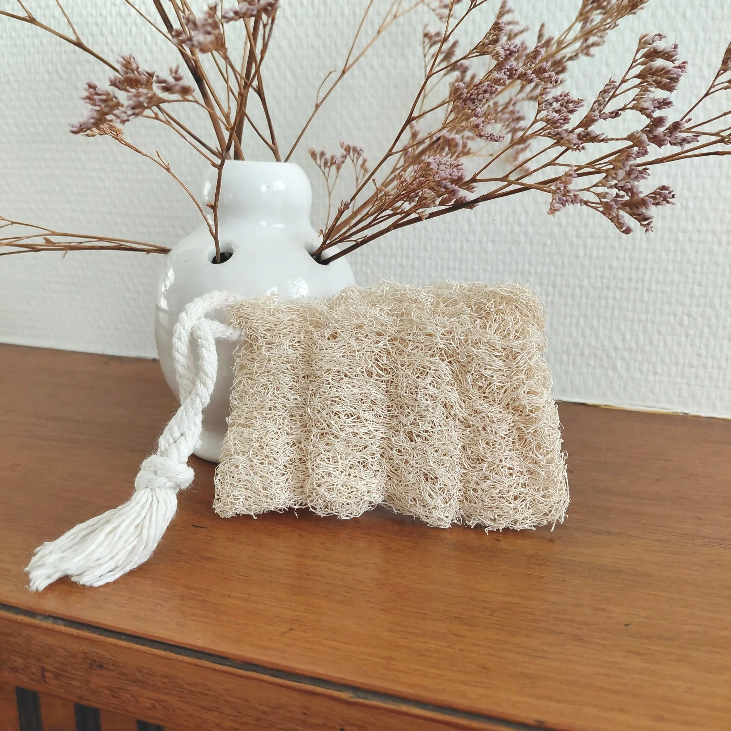 The Luffa Gift
