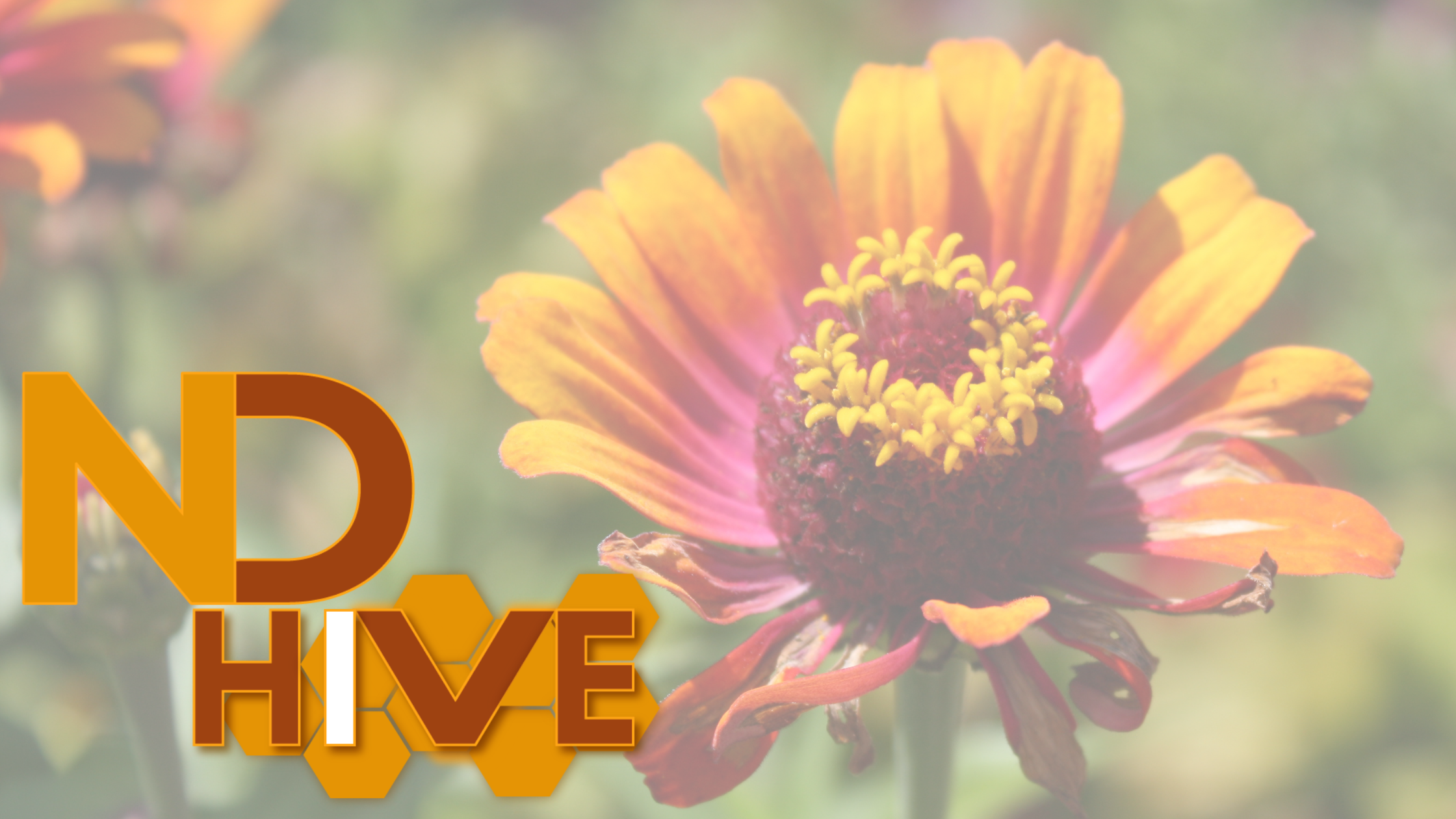 Productivity That Adapts to ADHD Brains, Energy, and Real Life&nbsp;