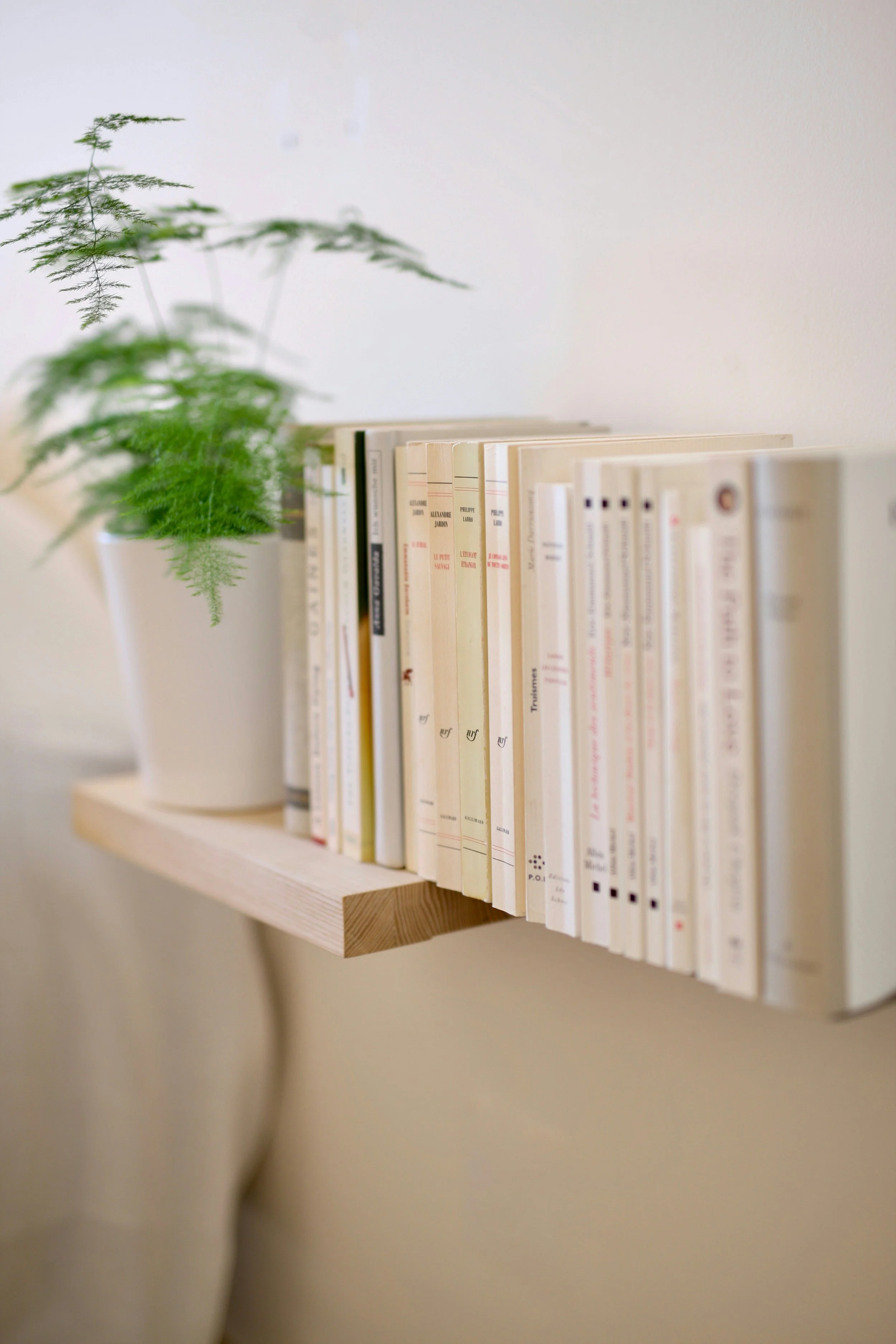 A minimalist white potted plant with green foliage next to a row of books on a light wooden shelf against a white wall.