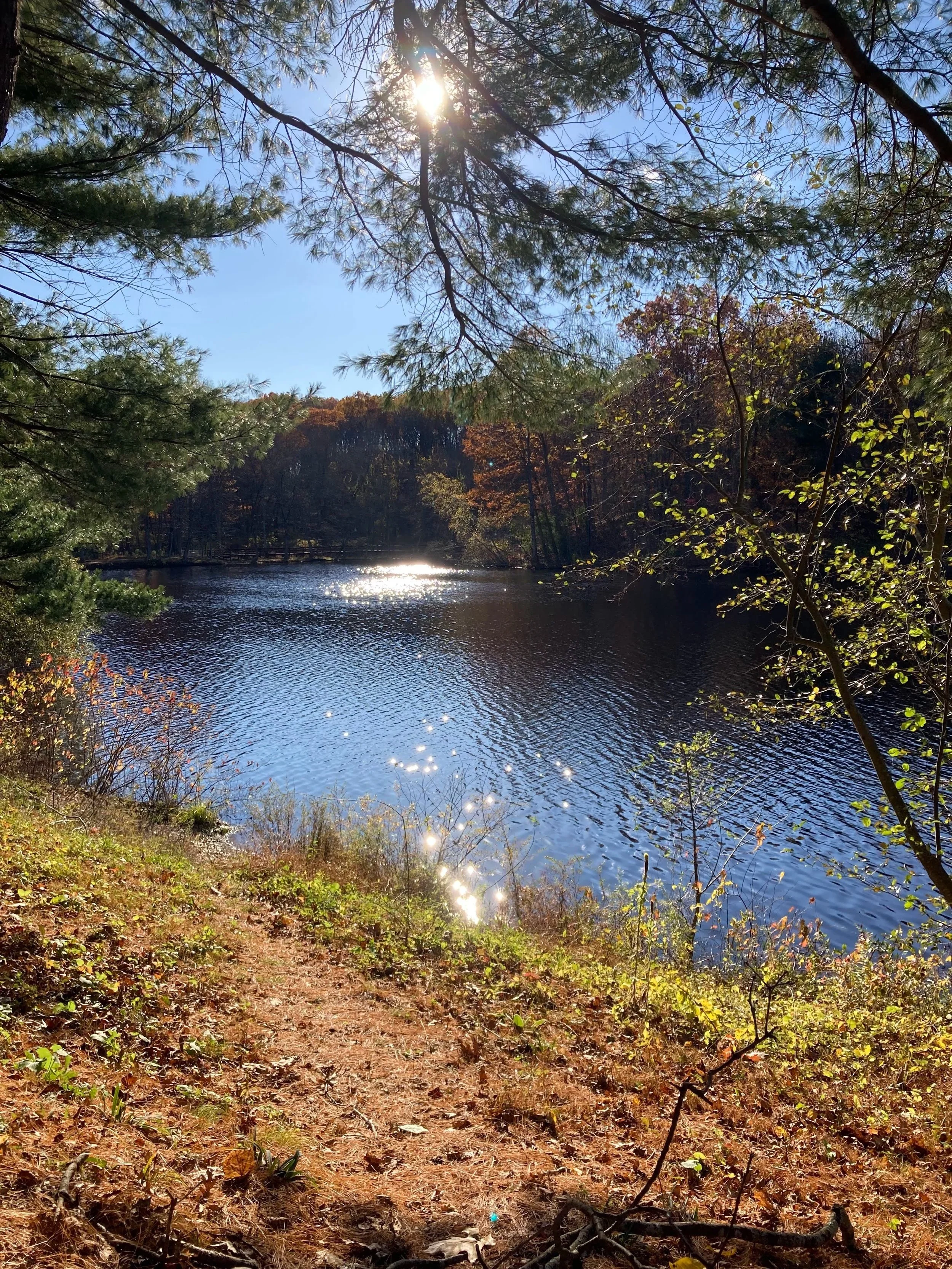 Initial Consultation