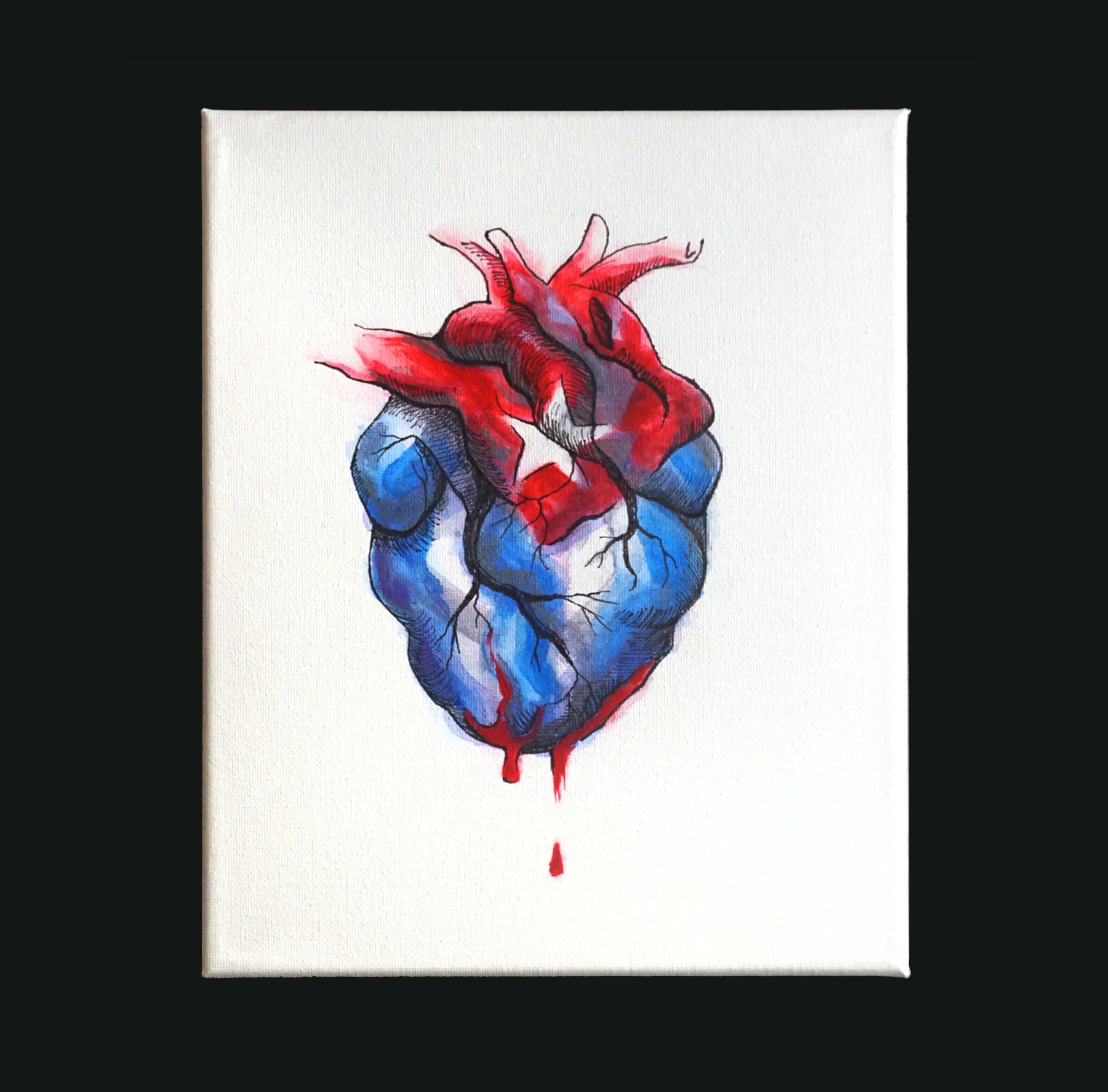 Colorful painting of a human heart with realistic details, with red and blue coloring and a drop of blood below.