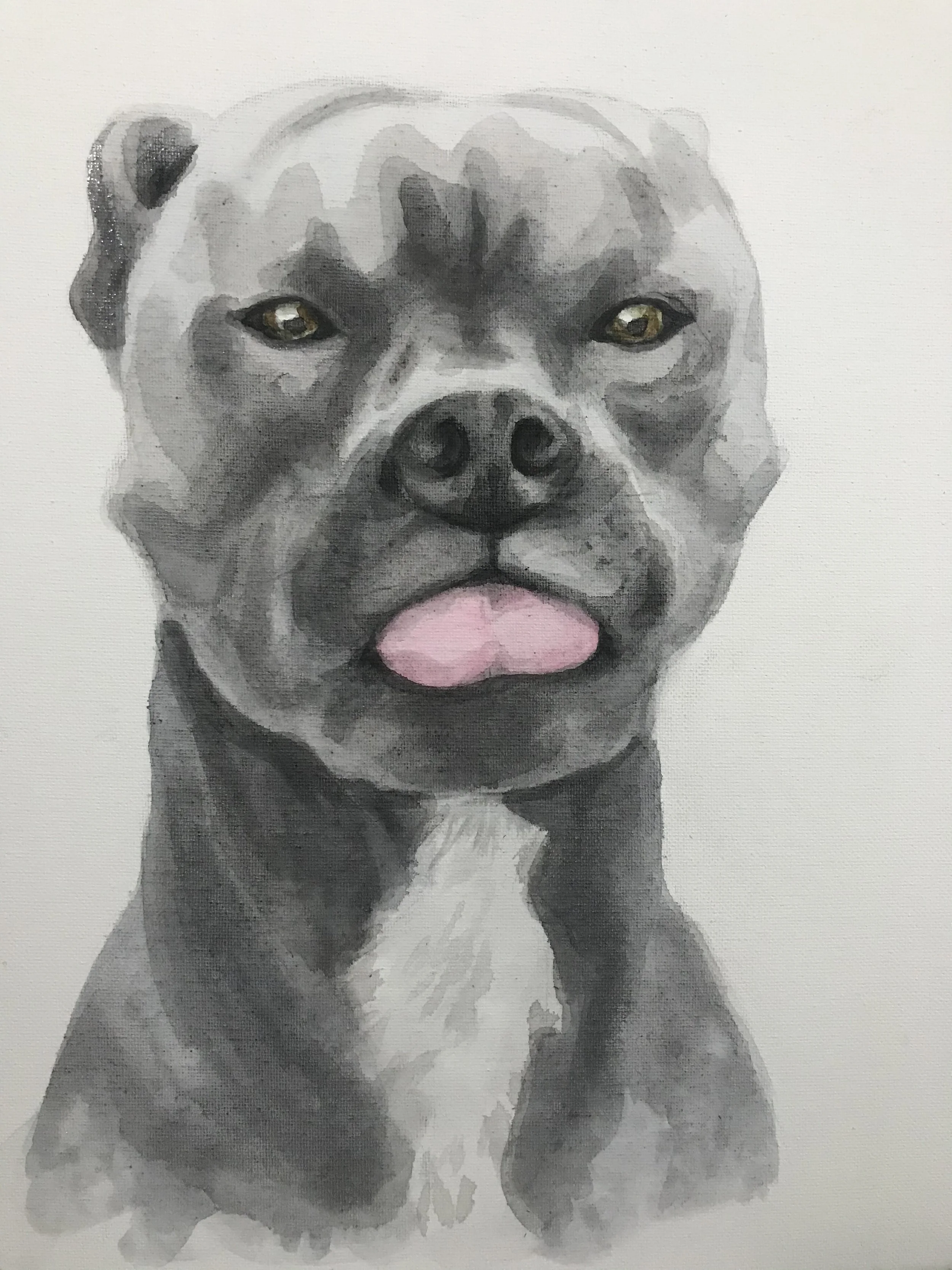 Patricia Machin Portfolio Designer and Art Director Watercolor painting of a pit bull dog with a pink tongue sticking out.