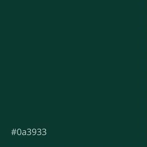 Solid dark green color with code #0a3933 at the bottom left corner.