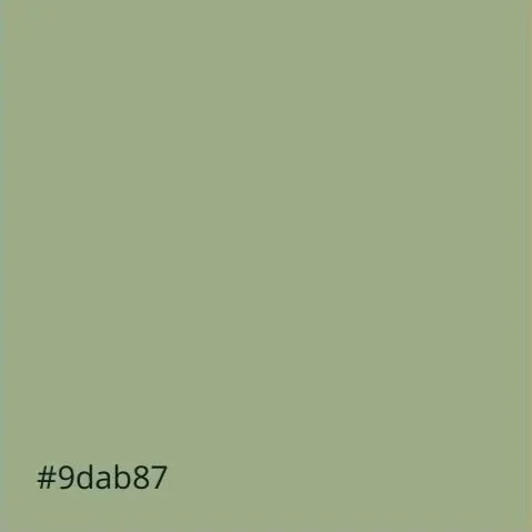 A light green background with black text reading '#9dab87' in the bottom left corner.