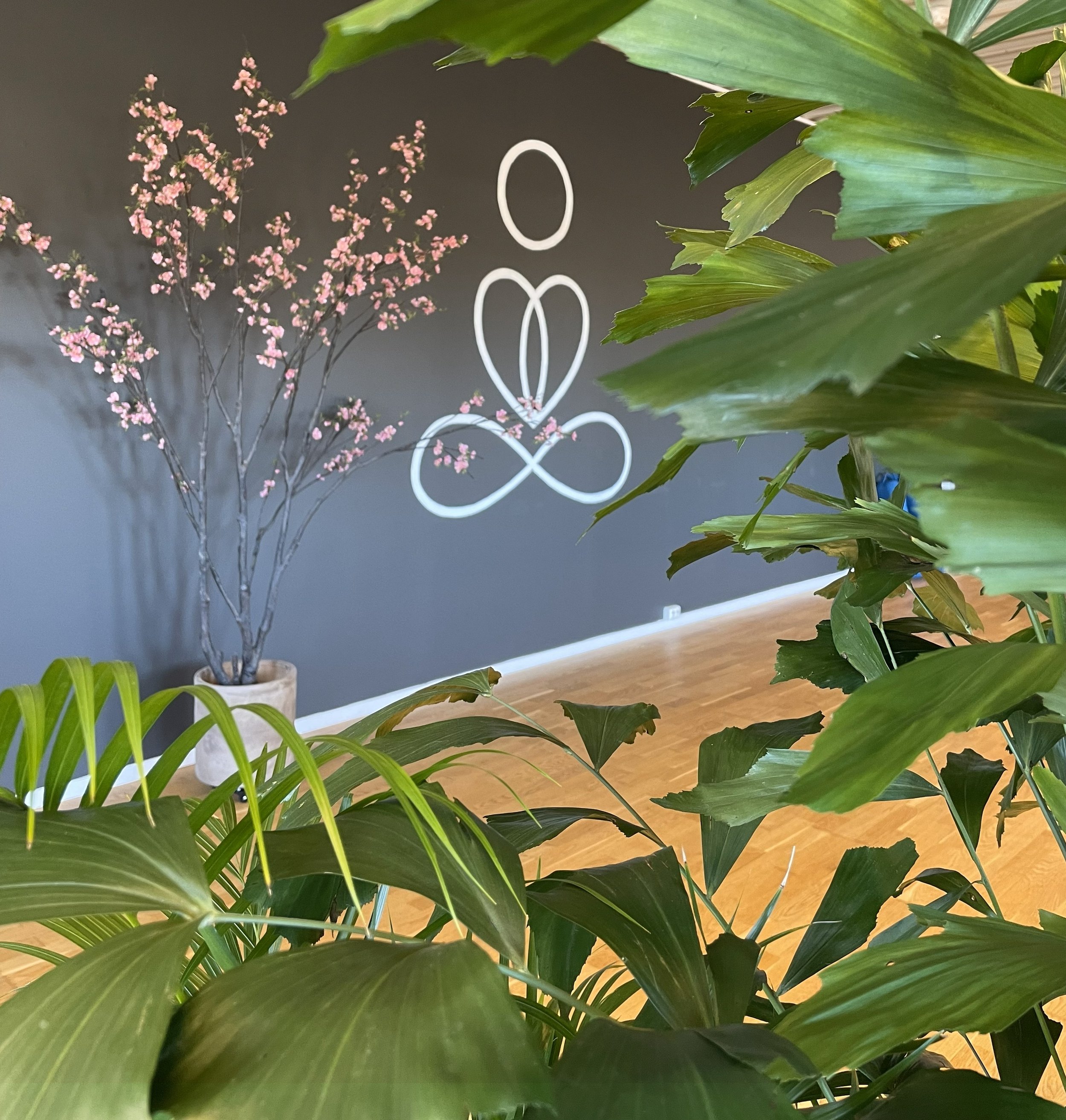 Interiørbilde fra Yogalåven med grønne planter foran en vegg med kunstverk, blomstrende tre og tregulv.