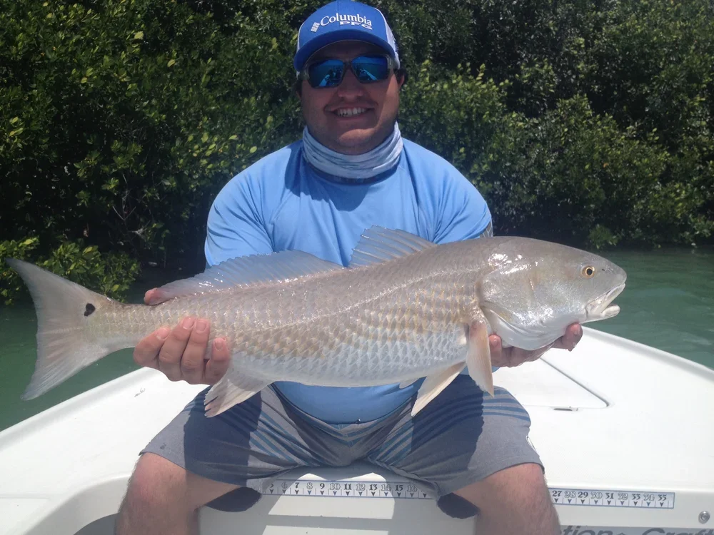 A man sitting on a boat holding a large fish with green water and bushes behind him.