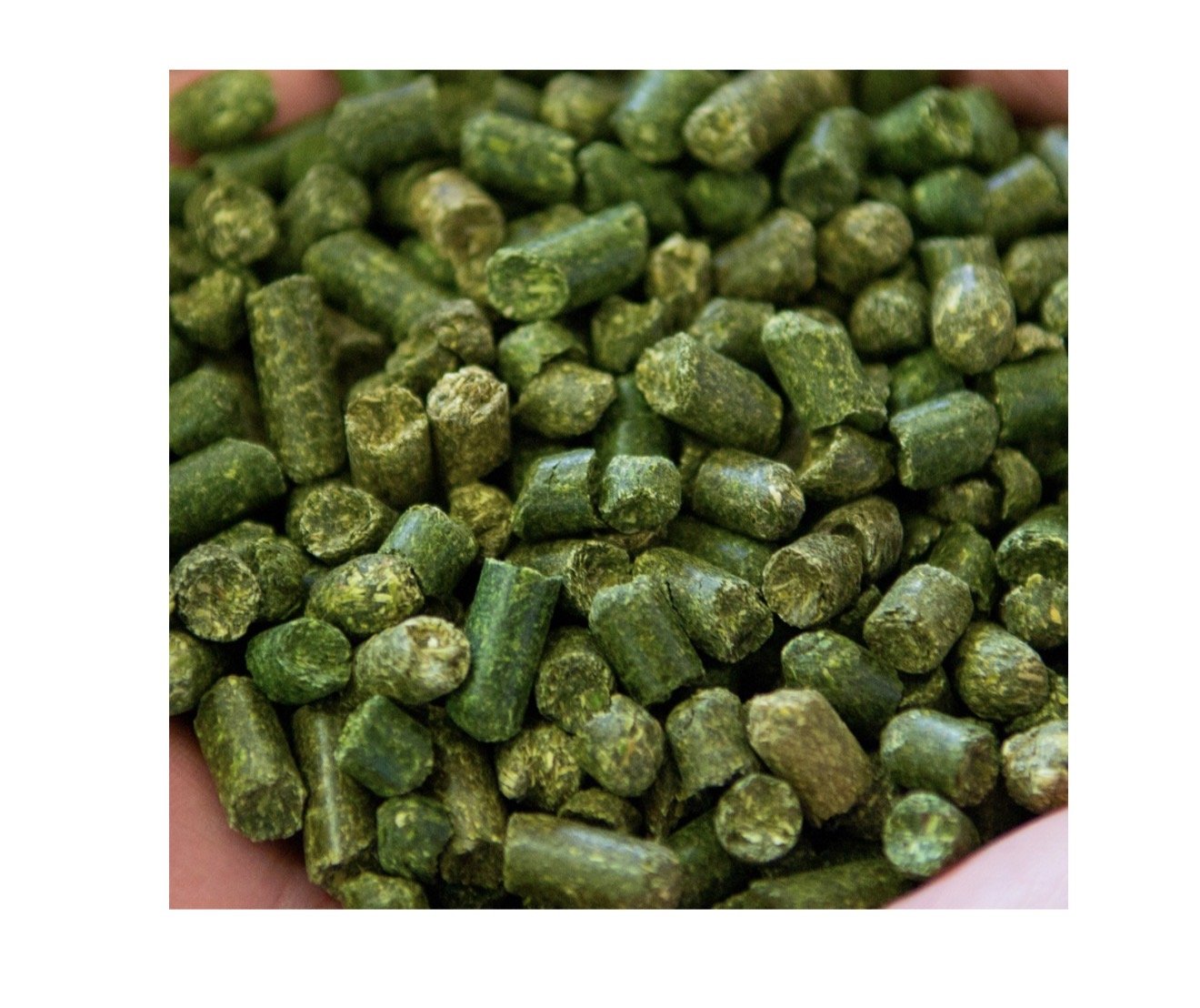 Carolina Pride Alfalfa Pellets