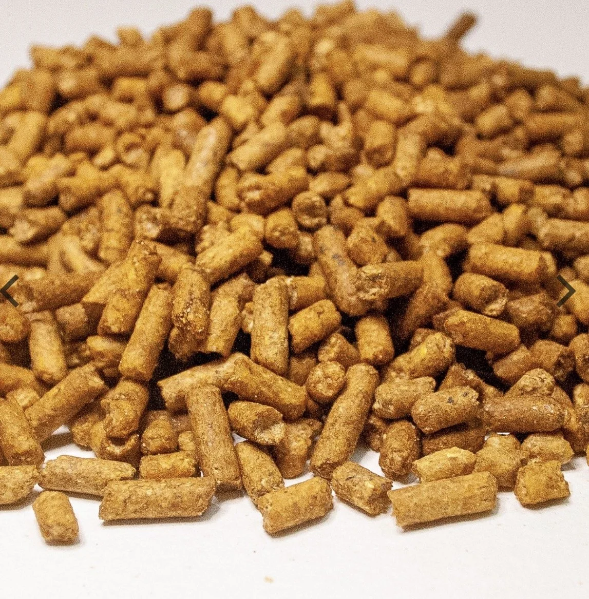 Carolina Pride 30% Game Bird Supplement