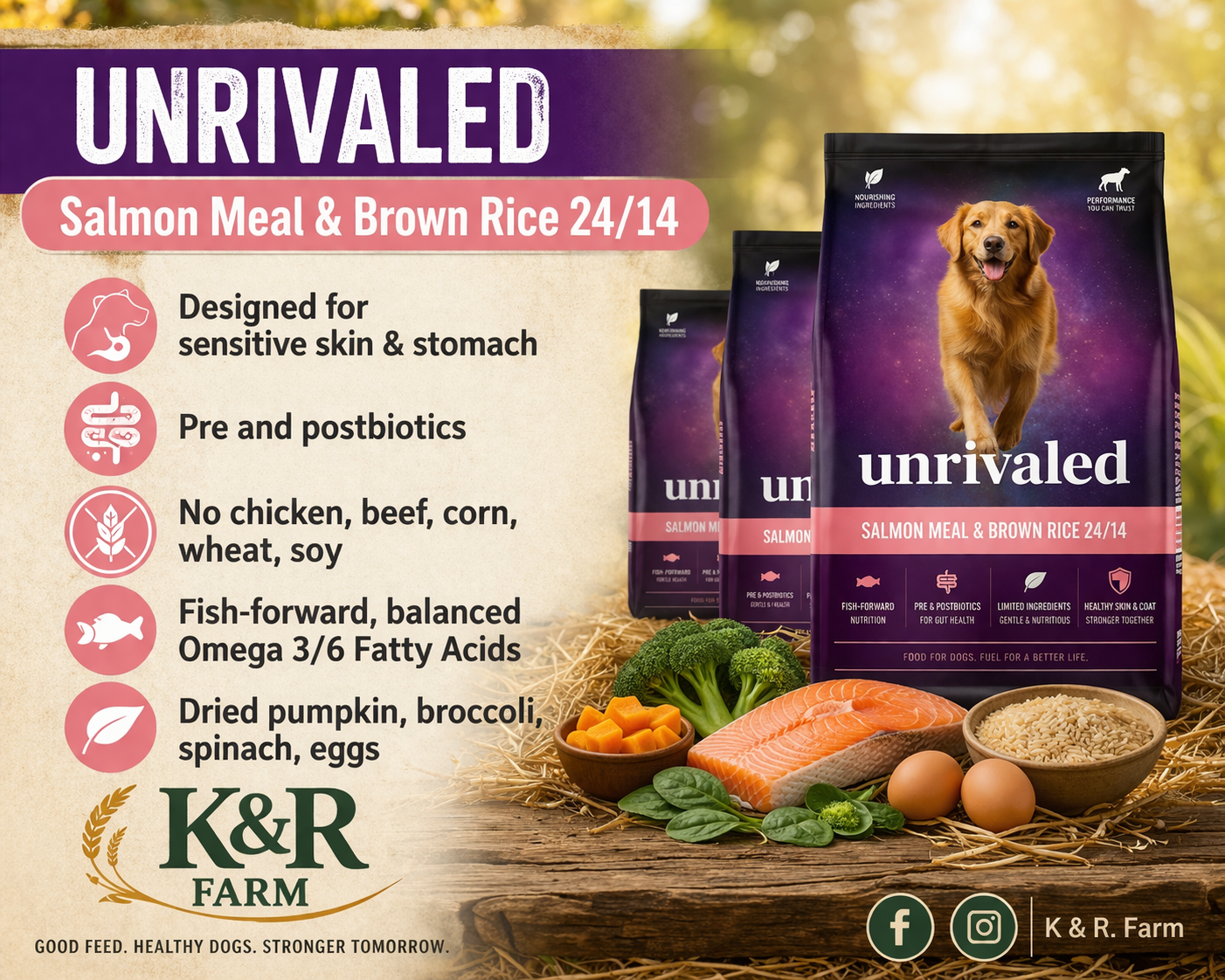 UNRIVALED Salmon Meal & Brown Rice 24/14