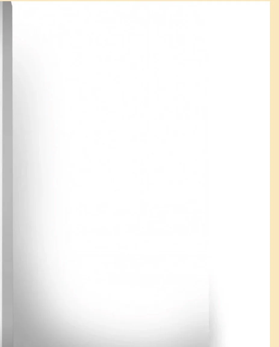 Kalmbach Black Oil Sunflower Seed 40lb