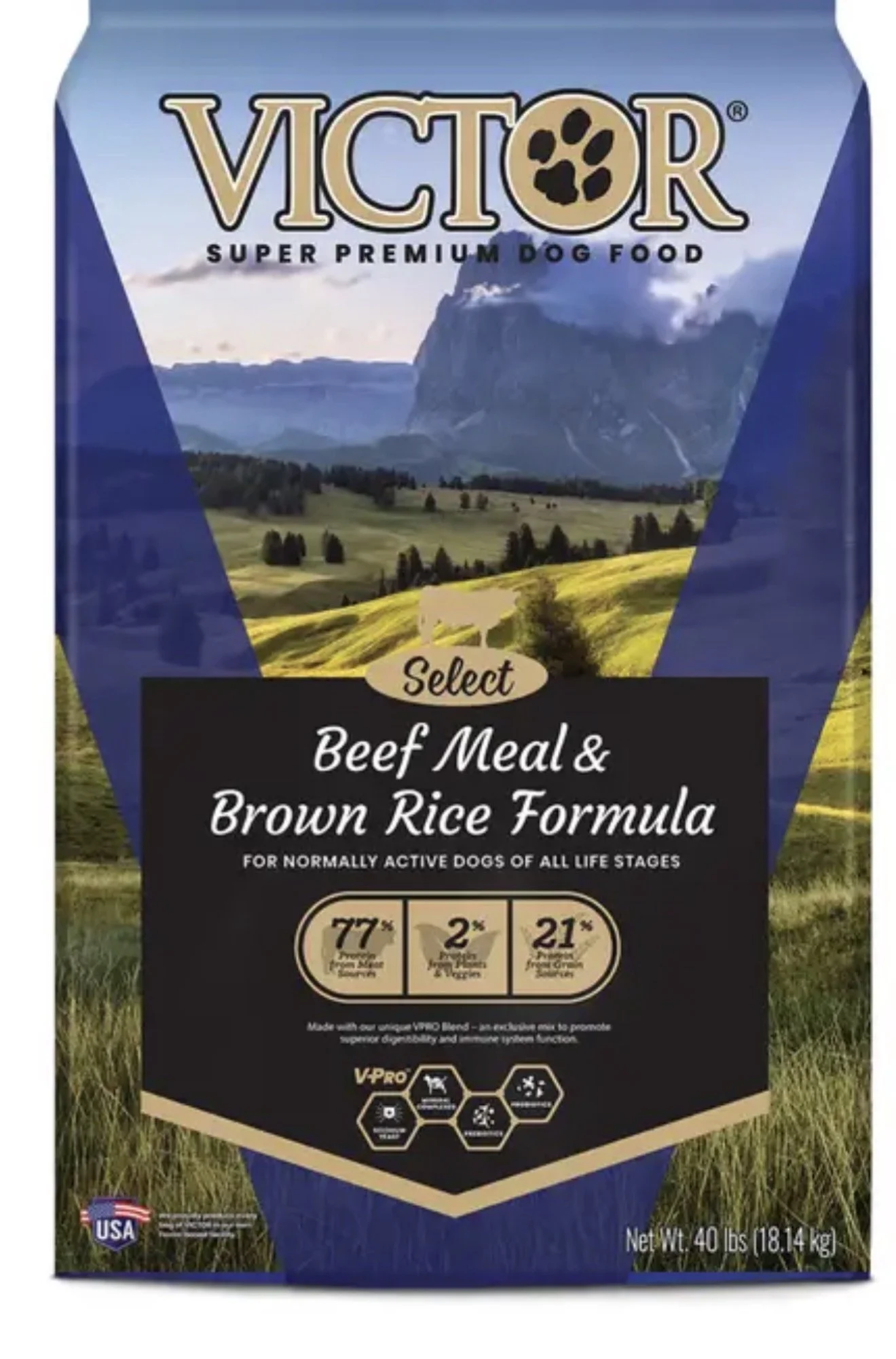 Victor Beef and Rice