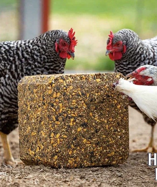 Kalmbach Poultry Block 25lbs