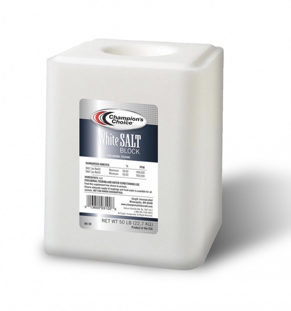 White Salt Block