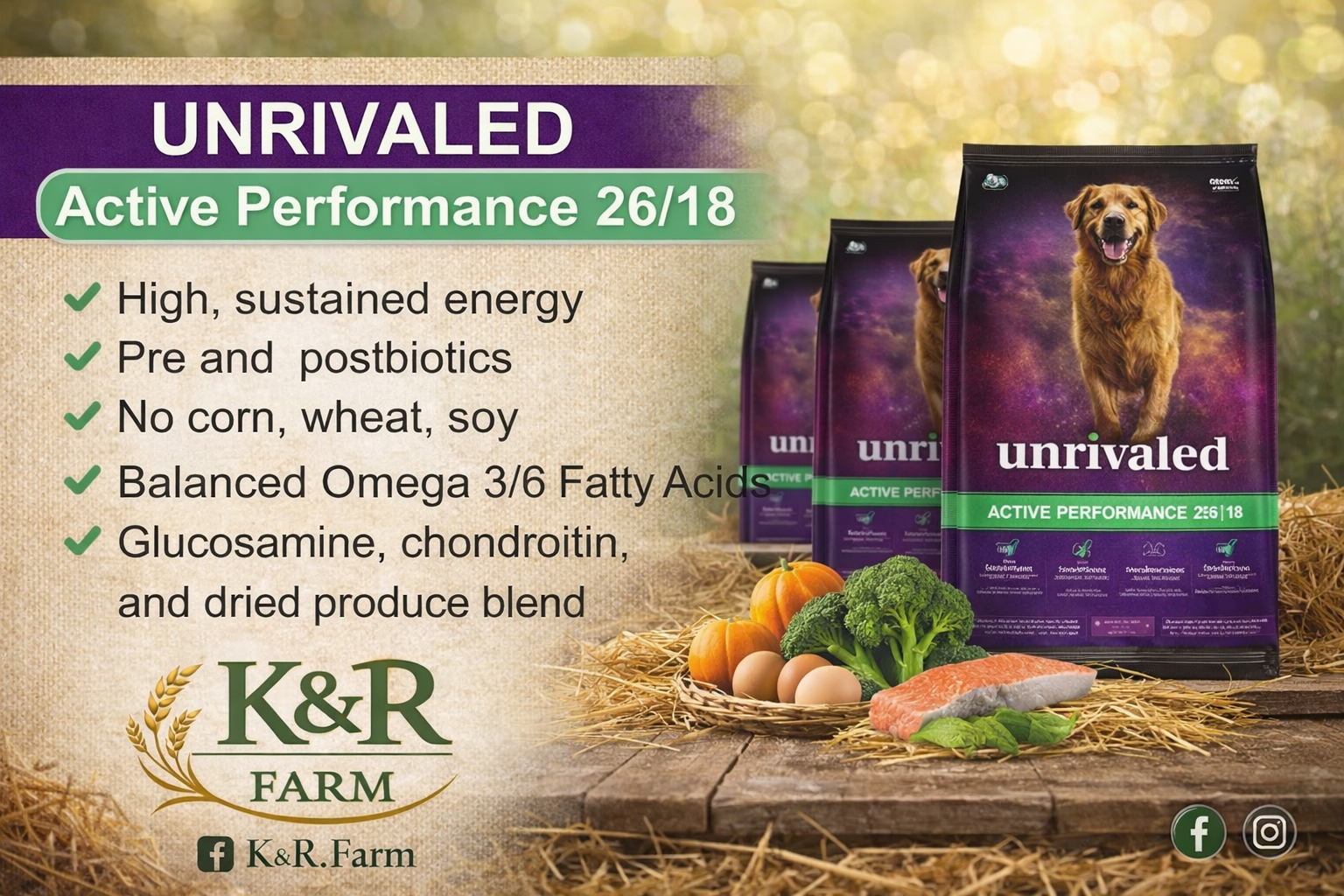 UNRIVALED Active Performance 26/18