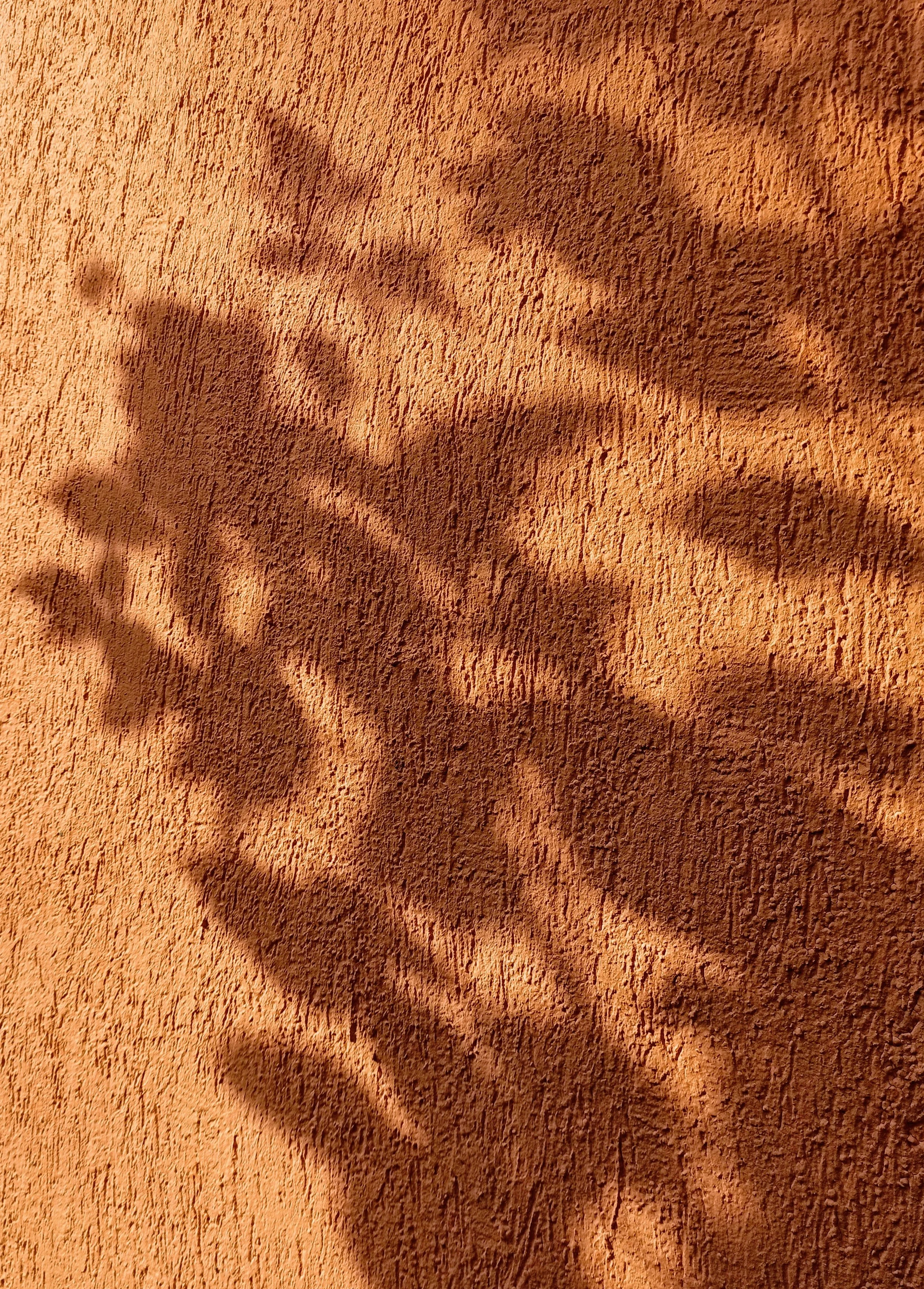 Shadow of a plant with leaves on a textured orange wall.