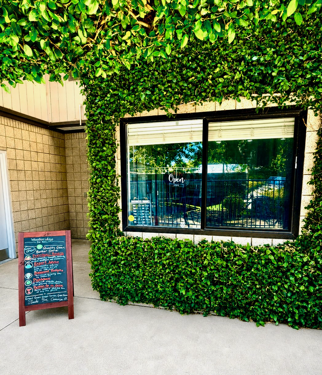 Exterior of a store with a large window framed by green bushes, a sign on the window that says 'Open,' and a chalkboard sign outside with handwritten text.