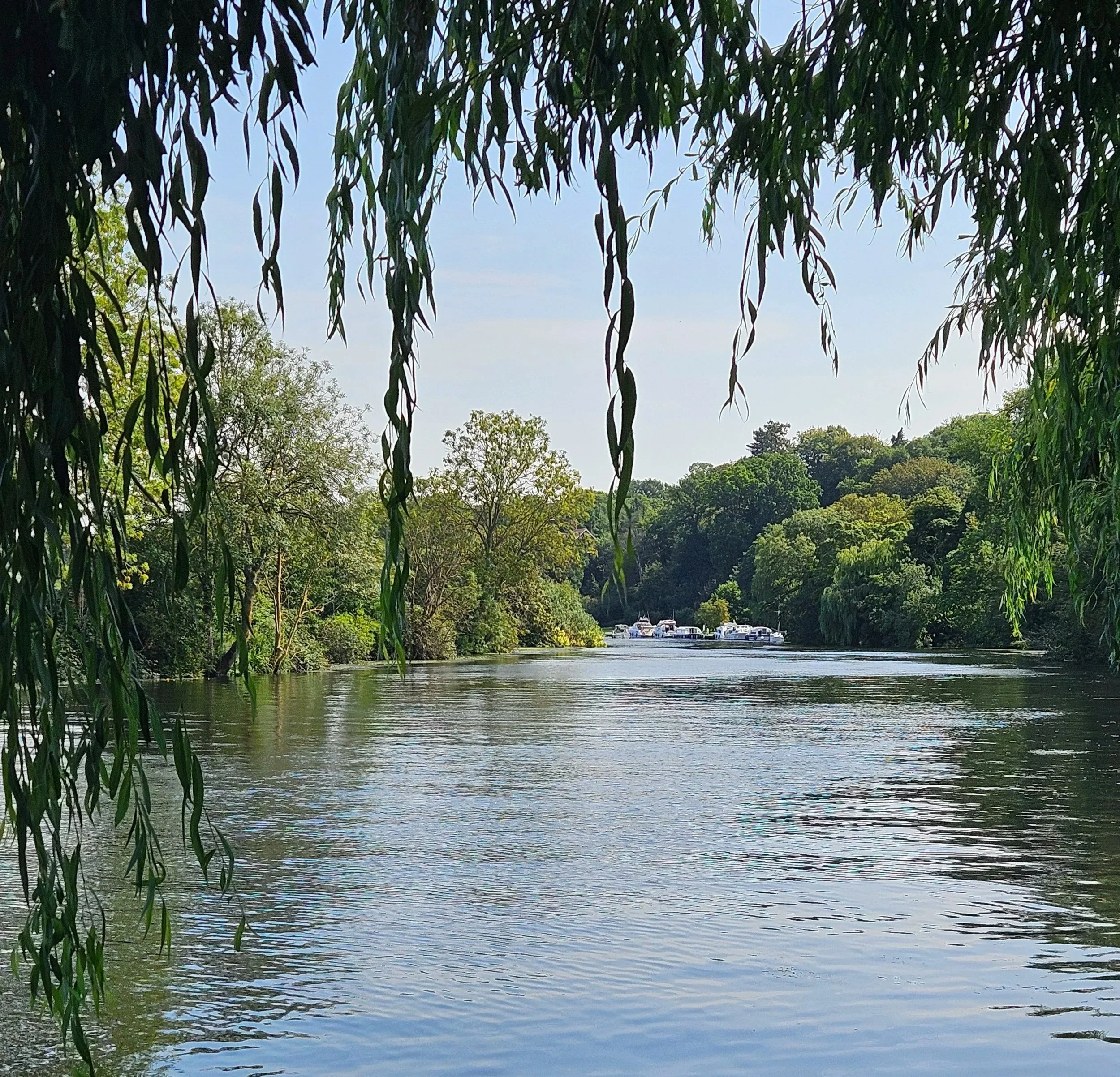 Norfolk Broads, waterside escape beside River Yare
