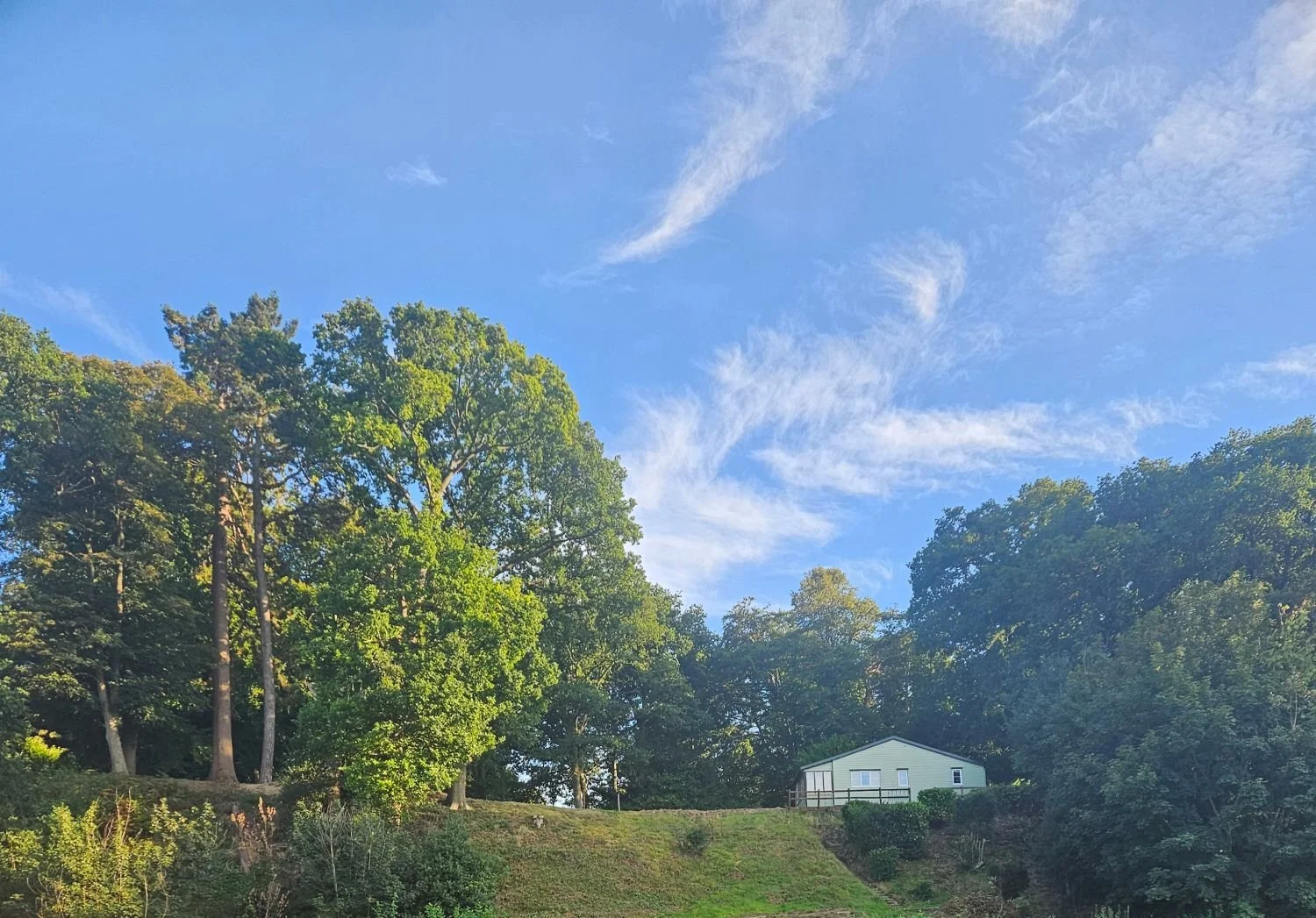 Looking up from the Bramerton Common and River