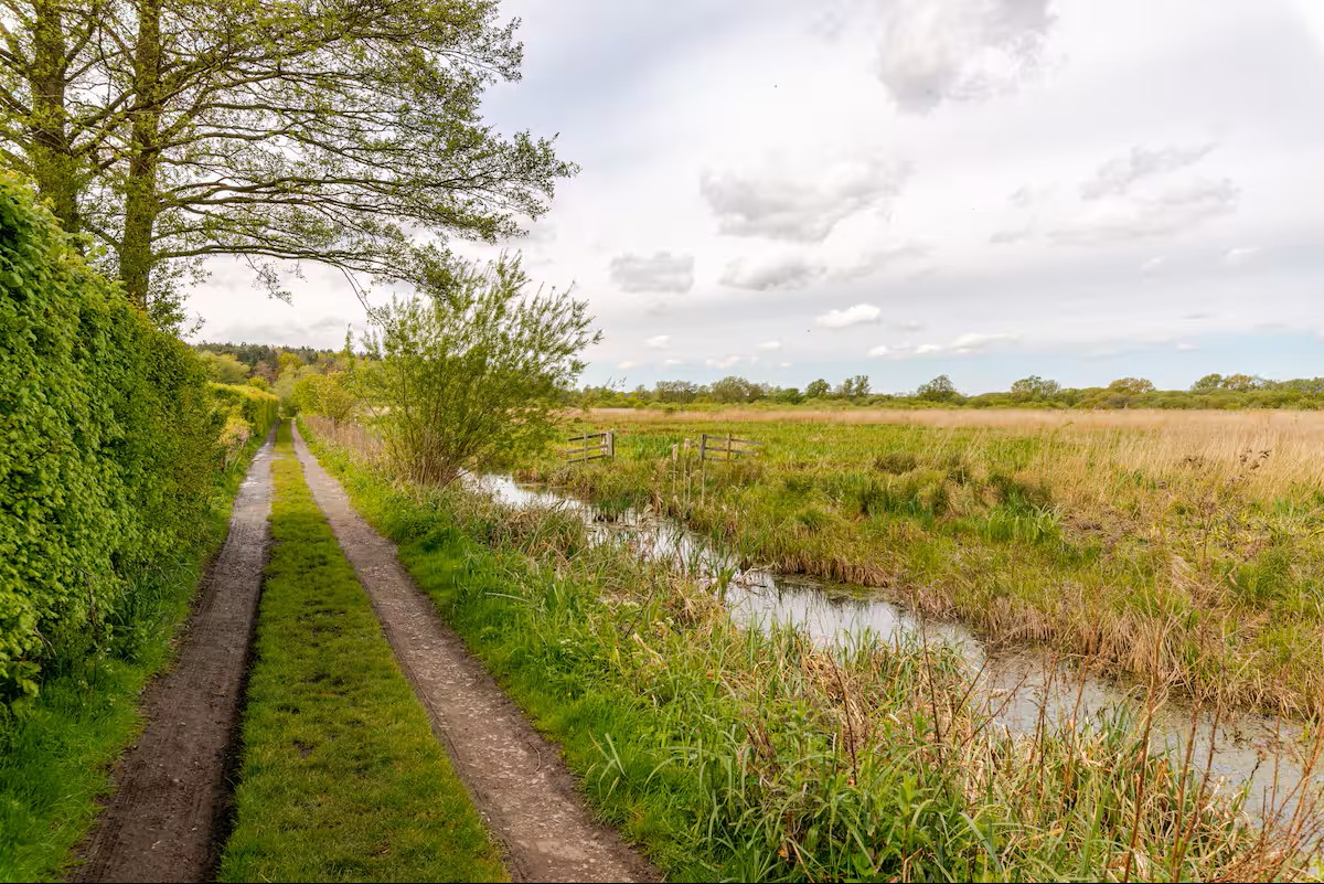 footpath to pub