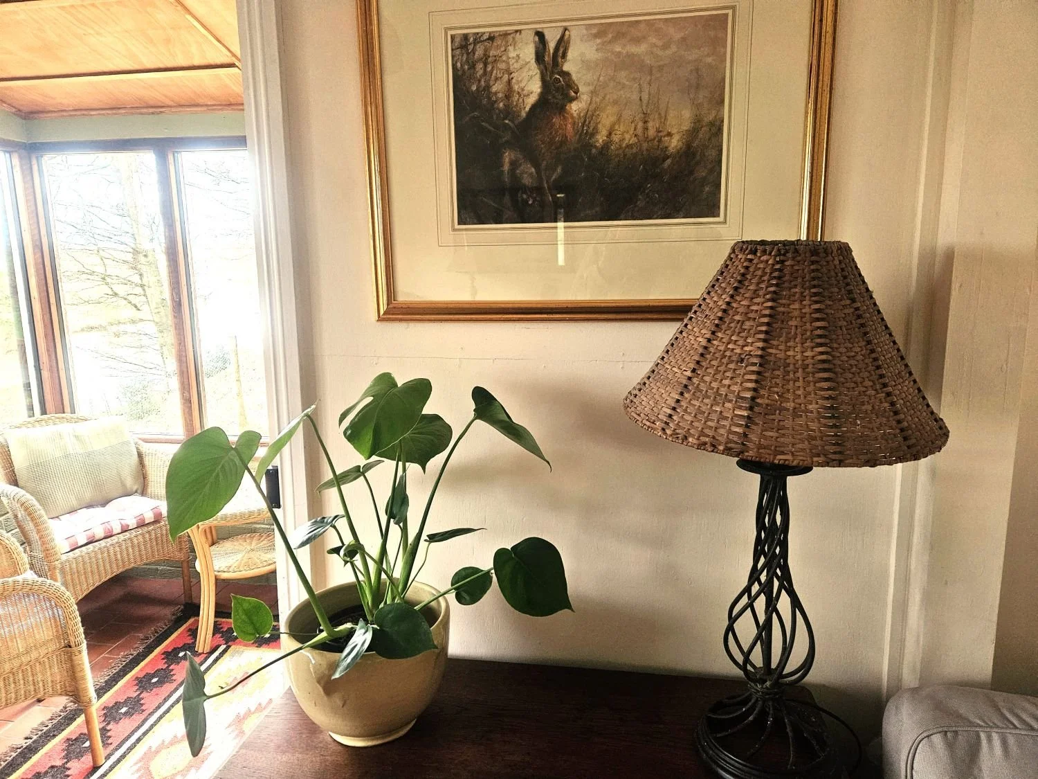 Living room corner with a framed picture of a hare hanging on the wall, a wicker lamp with a woven shade on a table, and a potted green plant with broad leaves.