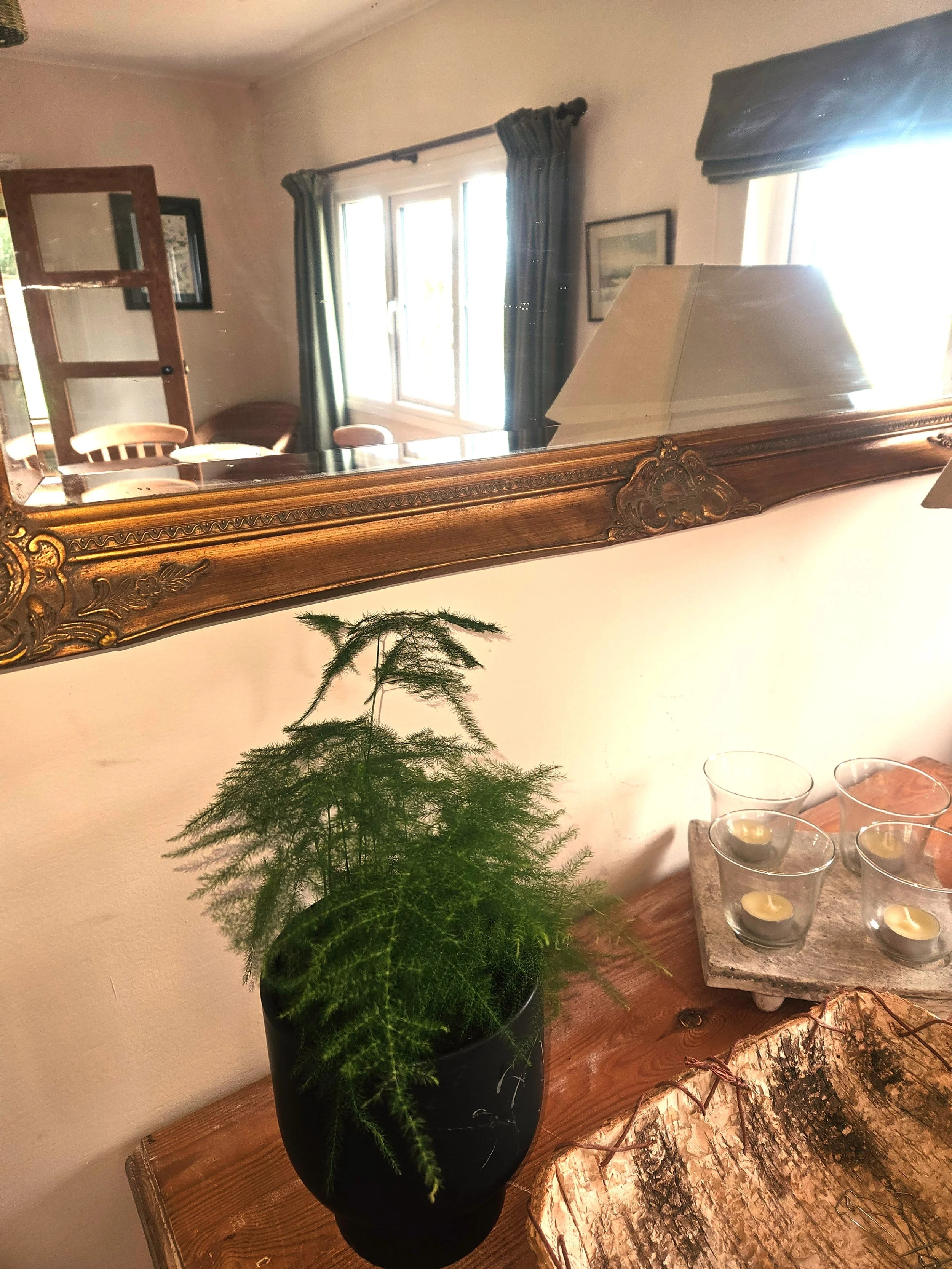 A decorative mirror hanging above a wooden table with a potted plant, four glass tealight holders with candles, and a framed picture on the wall in a cozy living room.