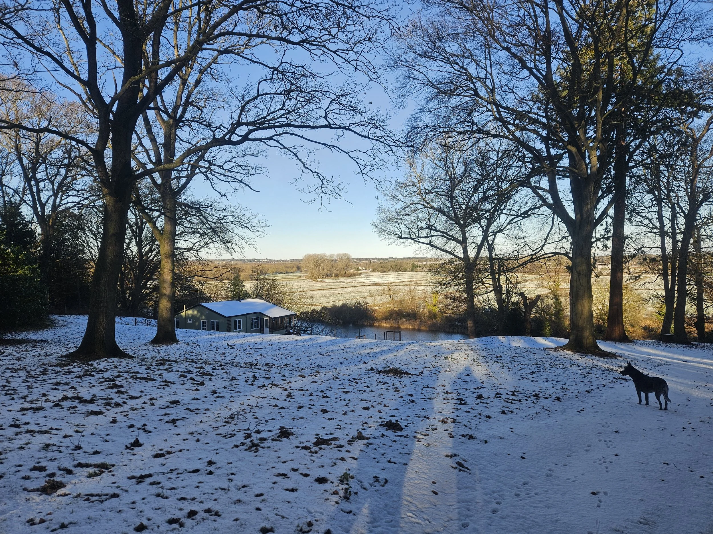 snow.jpg