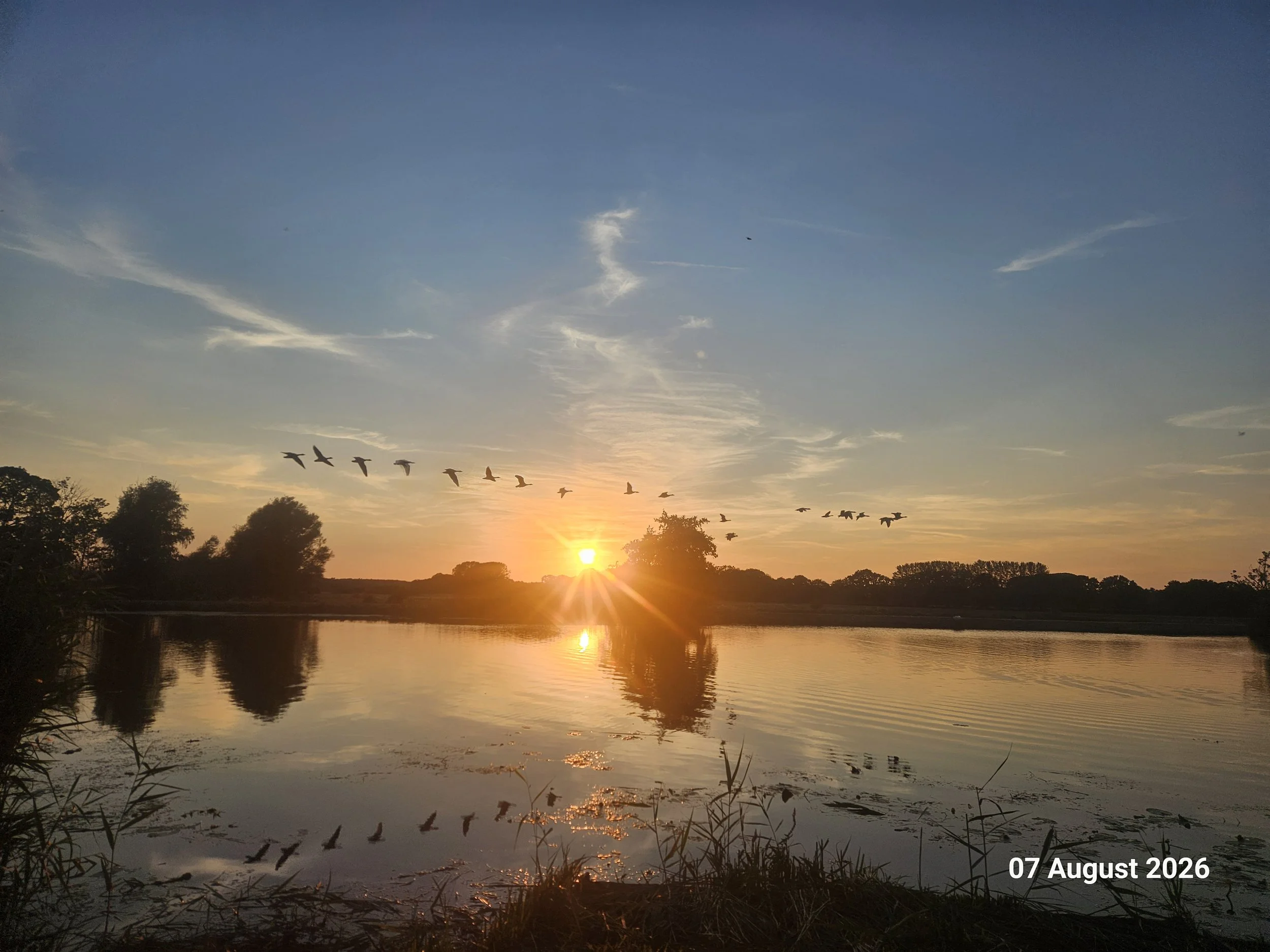 Geese over river.jpg