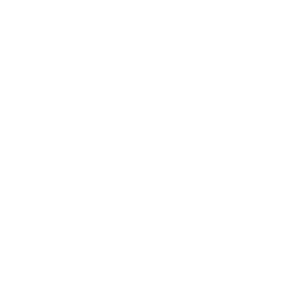 Icon of a checklist with four lines and check marks on a piece of paper.