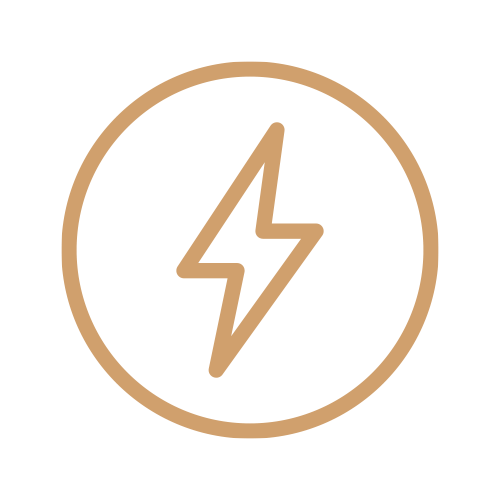 Icon of a lightning bolt inside a circle, representing electricity or power.