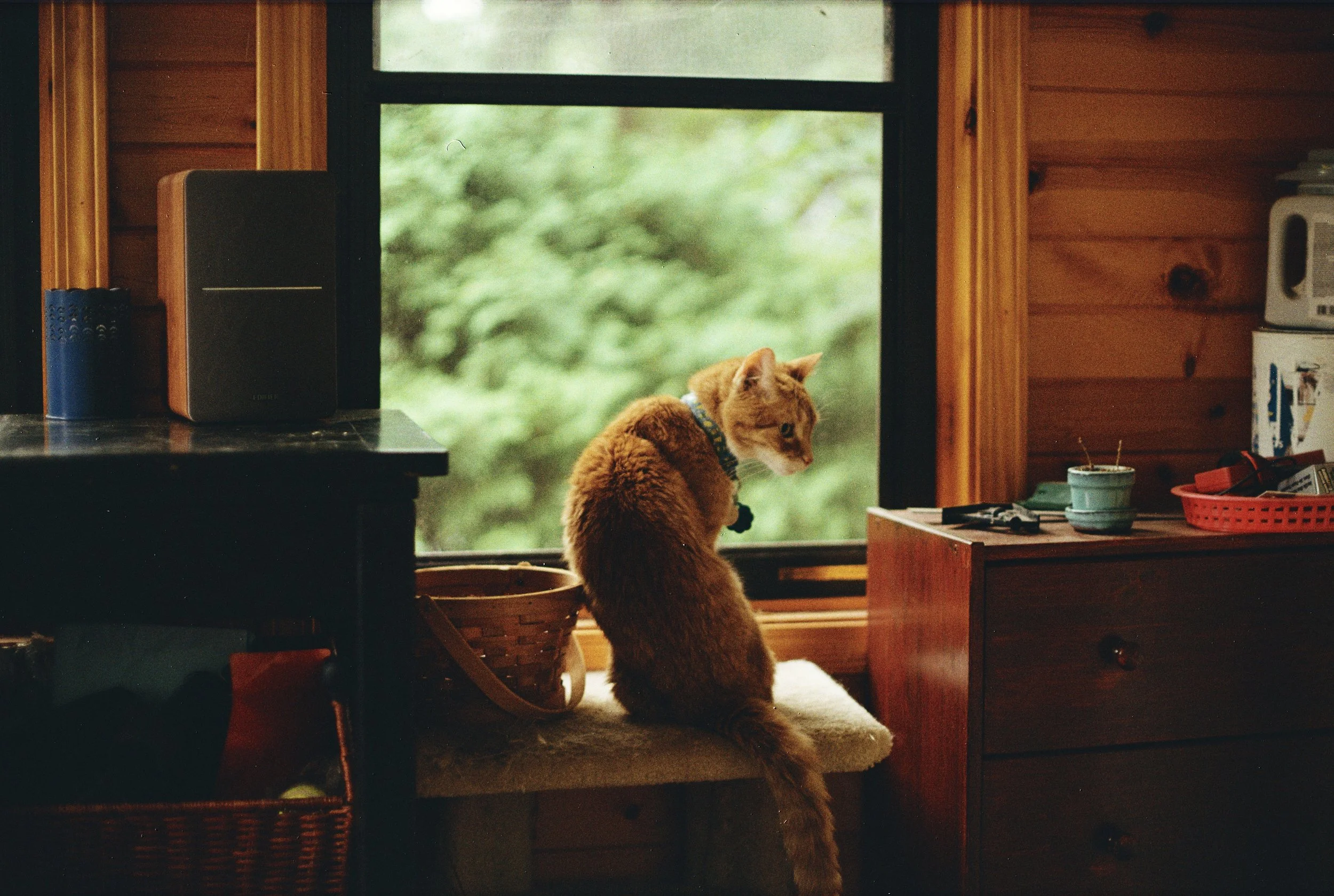 r001-003 (small).jpg