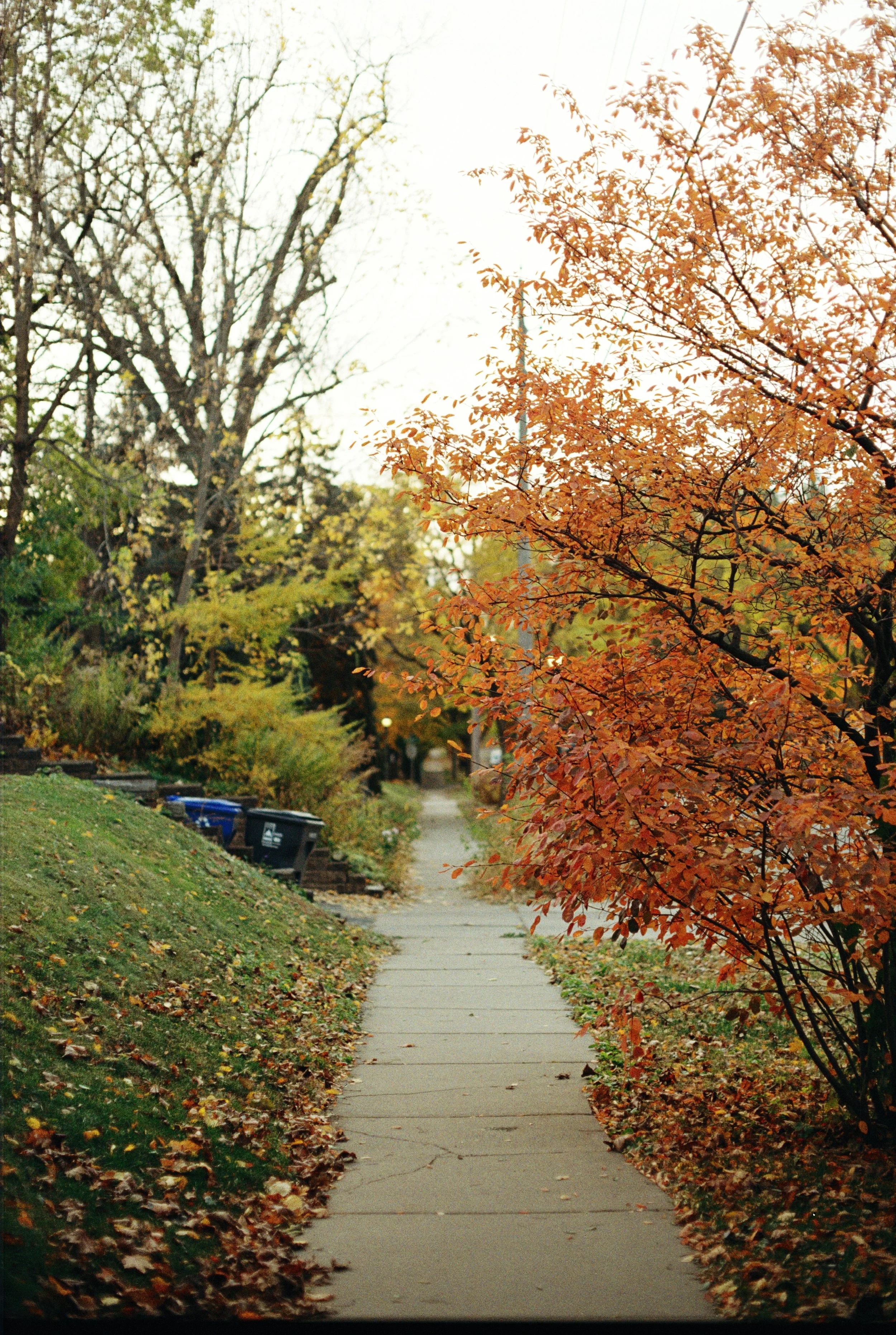 r001-031 (small).jpg