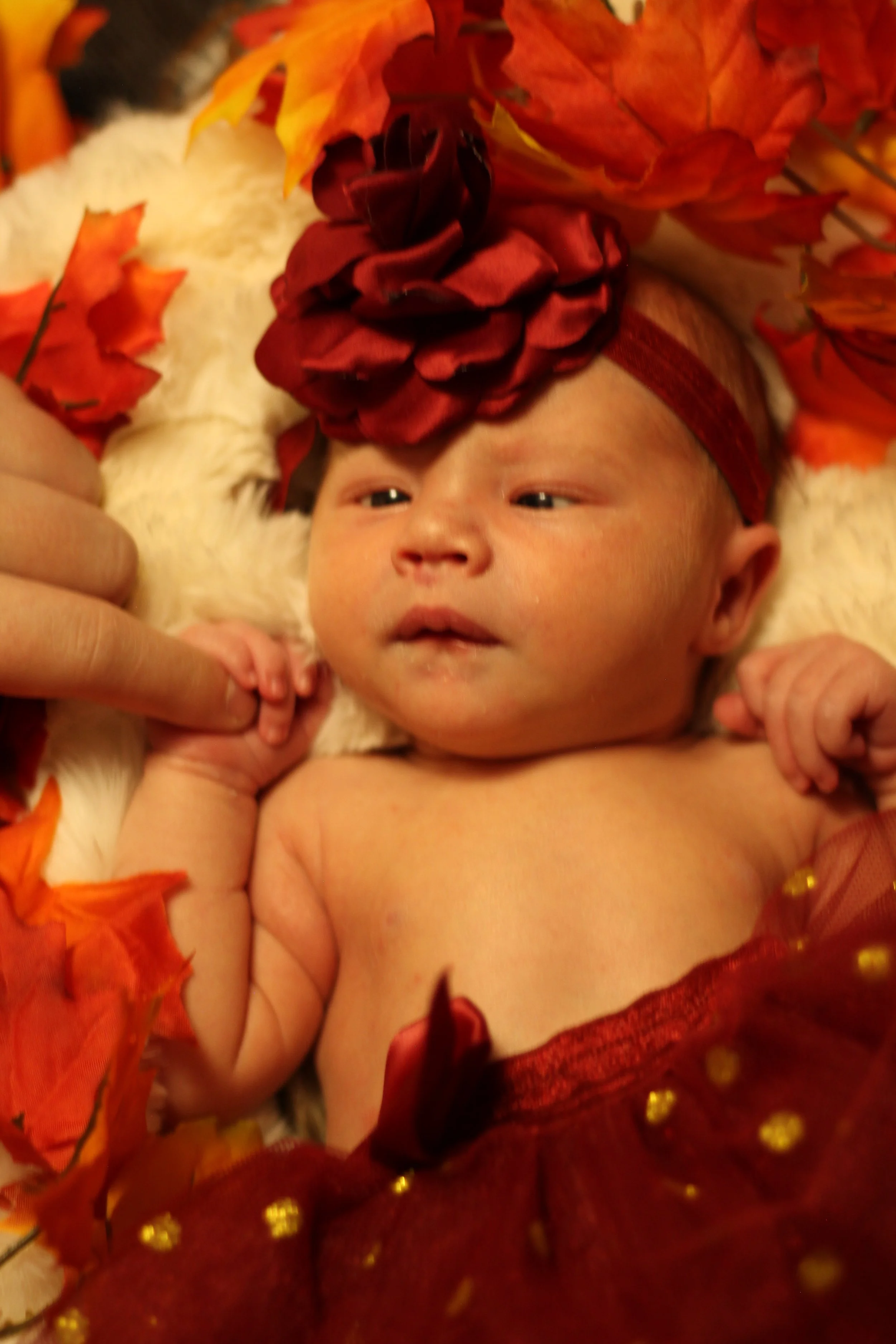 Newborn photoshoot